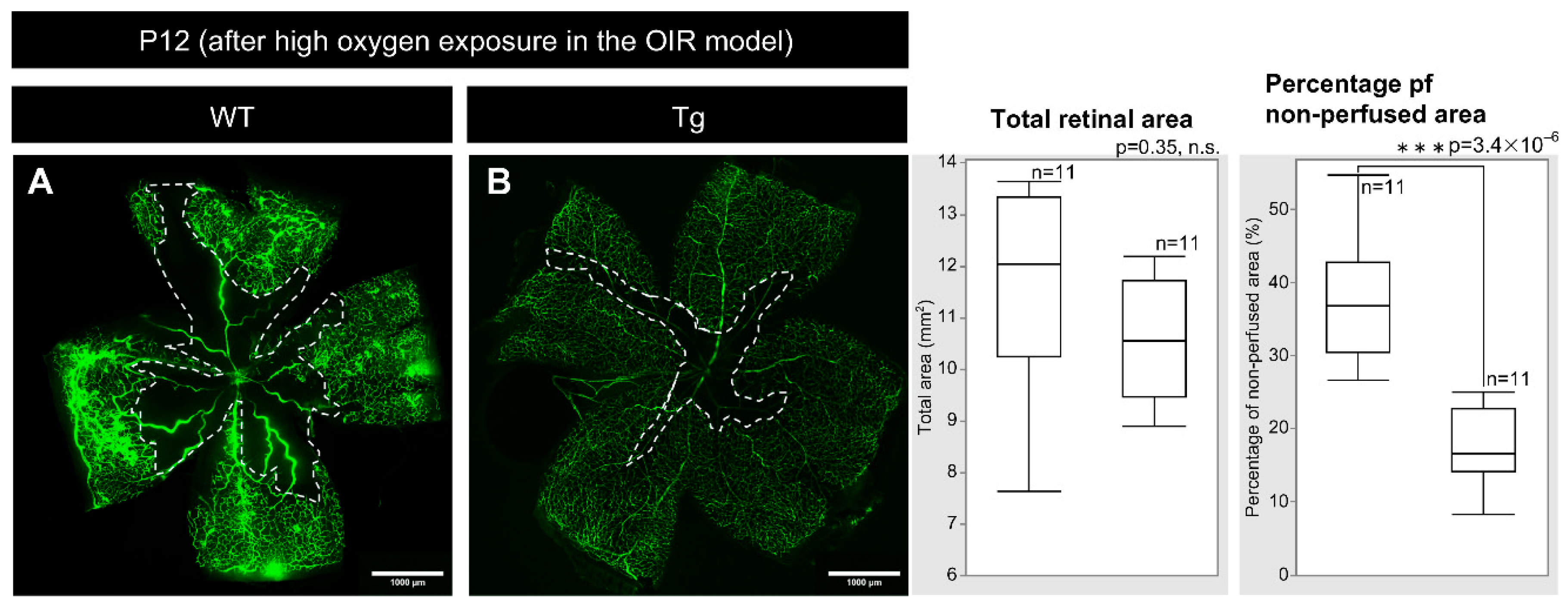 Preprints 139102 g006
