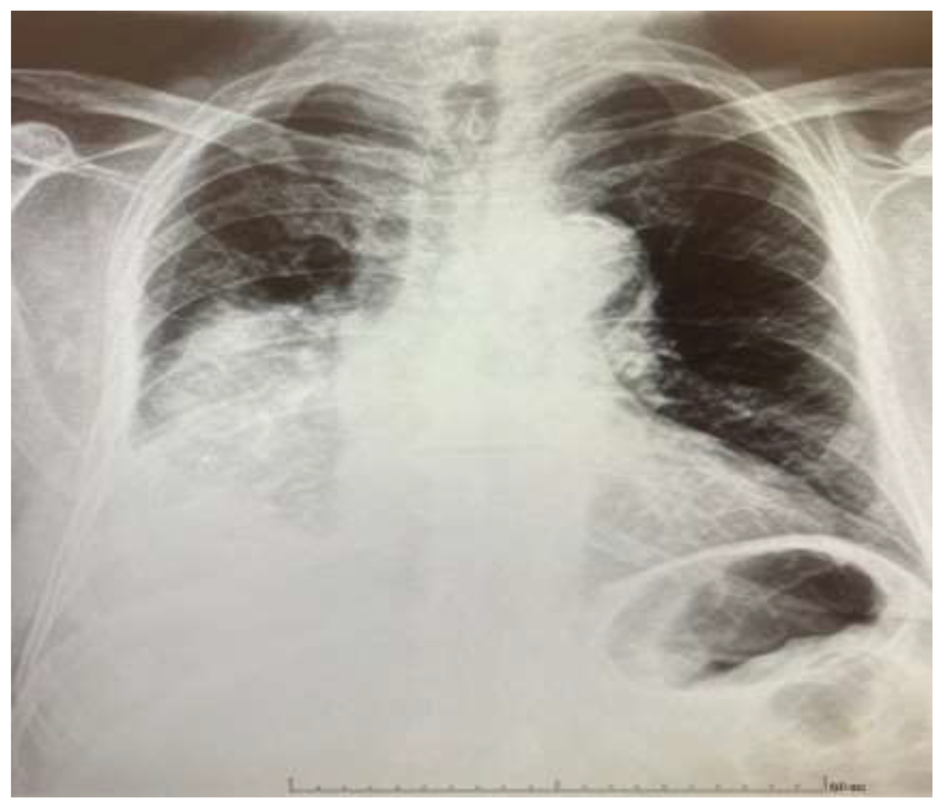 Preprints 200630 g001