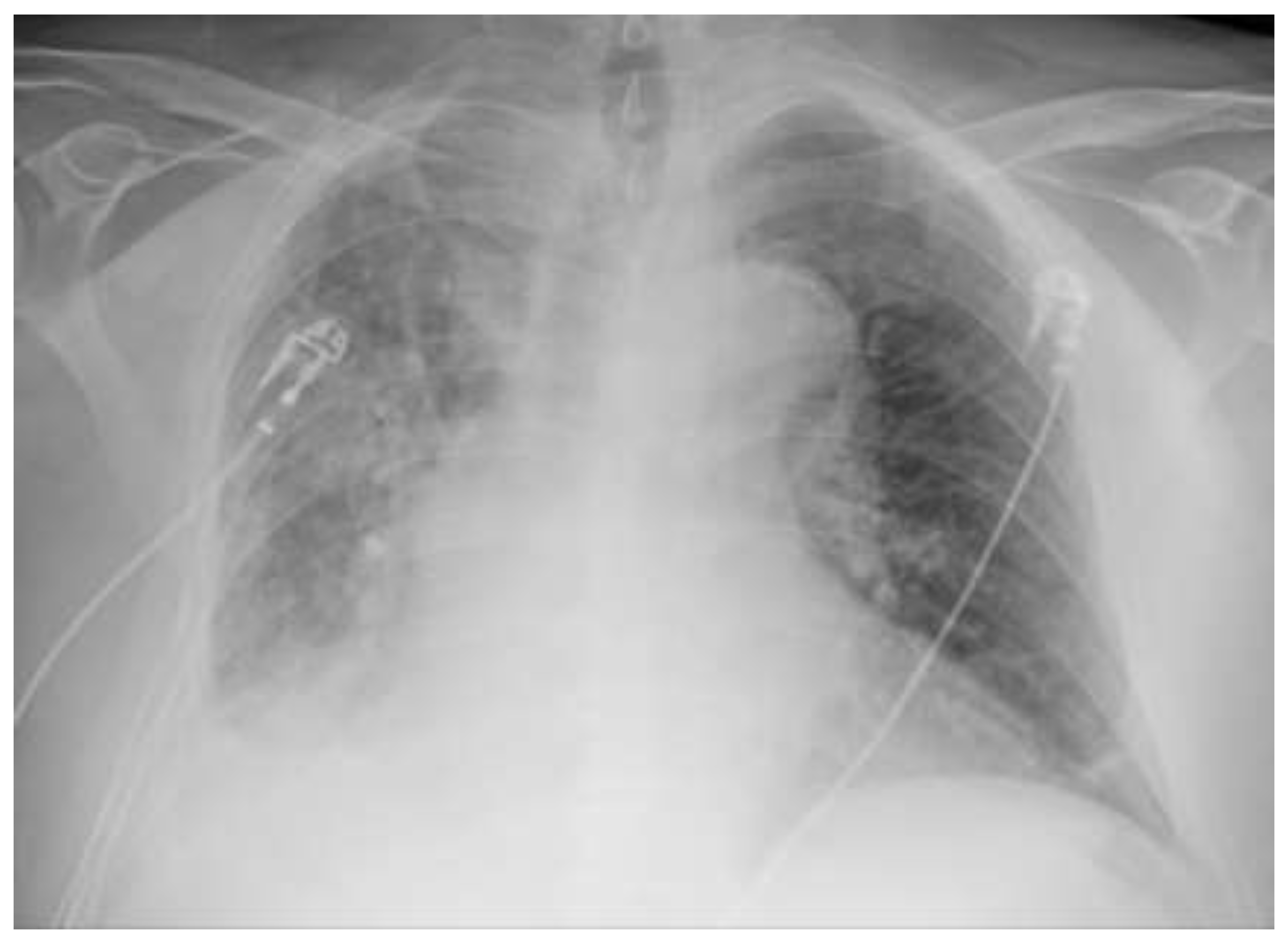 Preprints 200630 g003