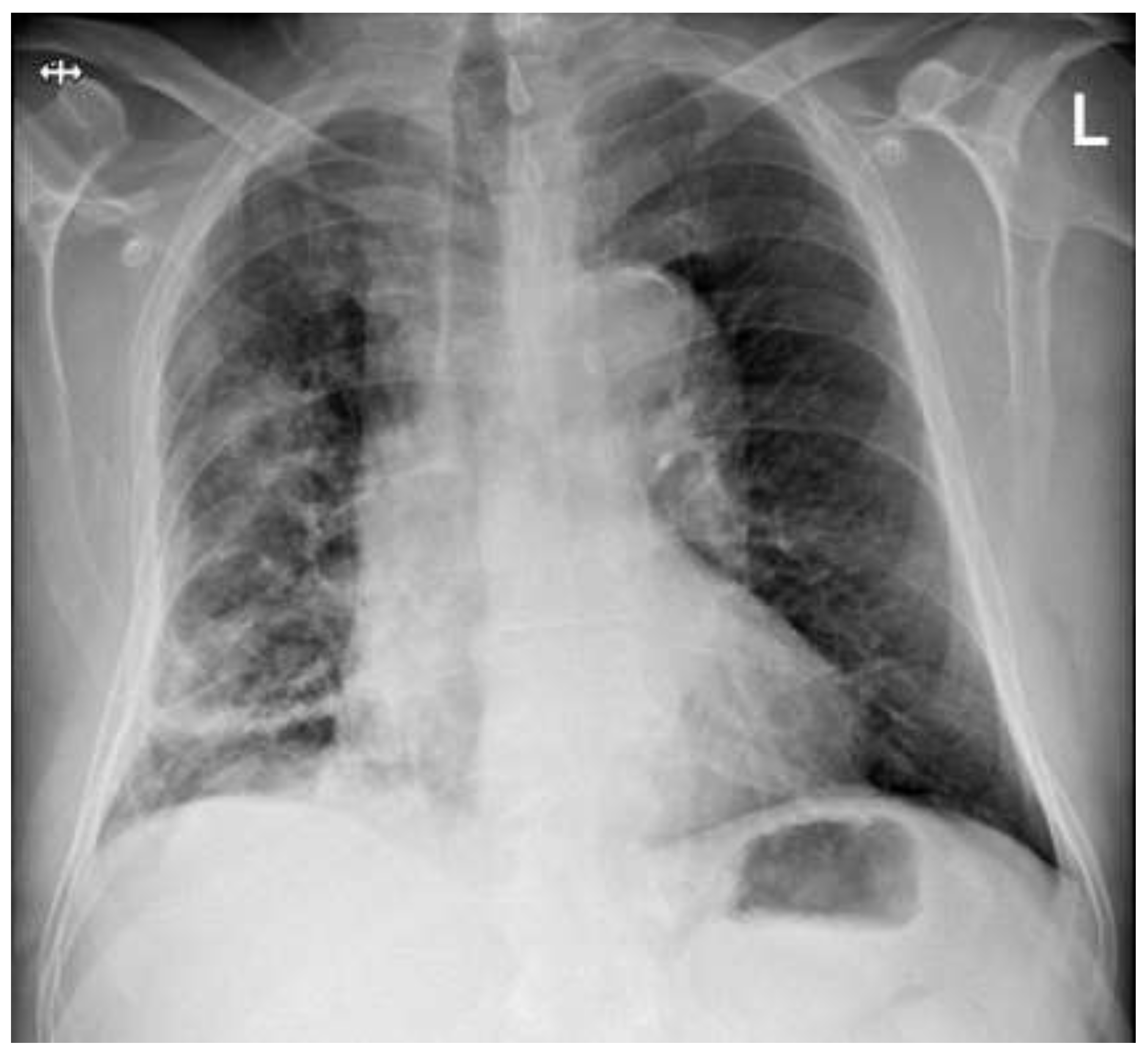 Preprints 200630 g004