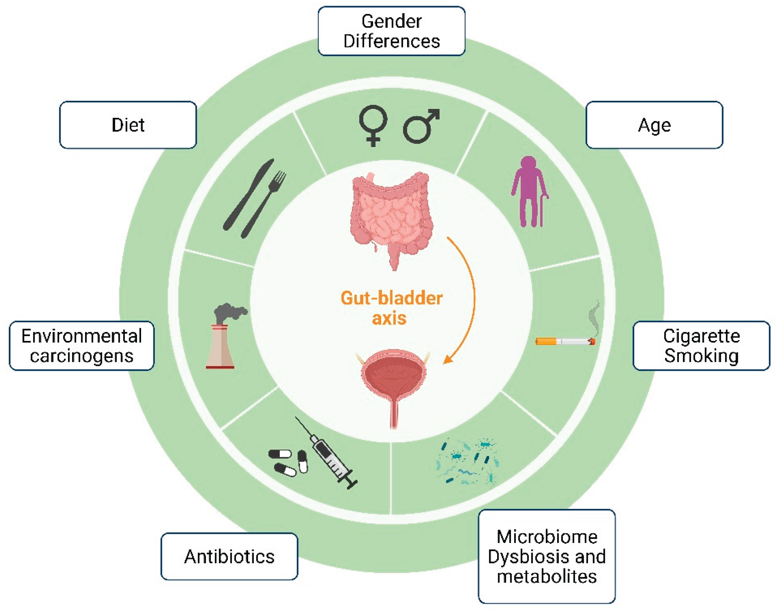 Preprints 174756 g001