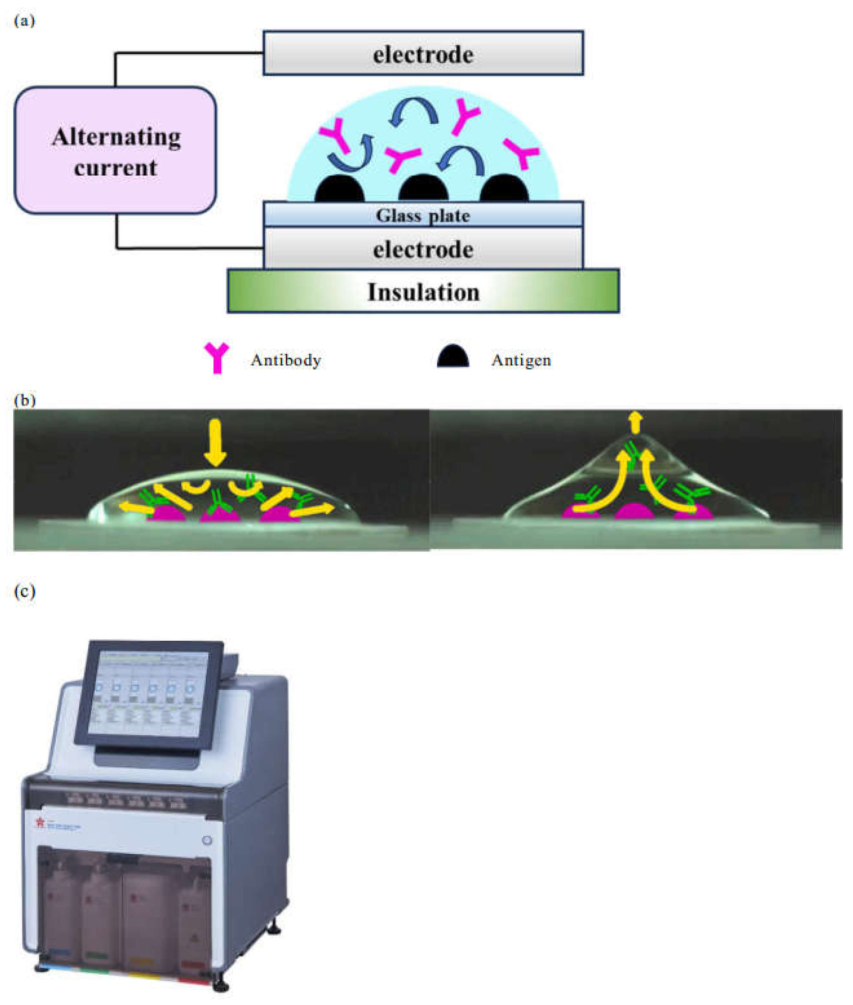 Preprints 144537 g002
