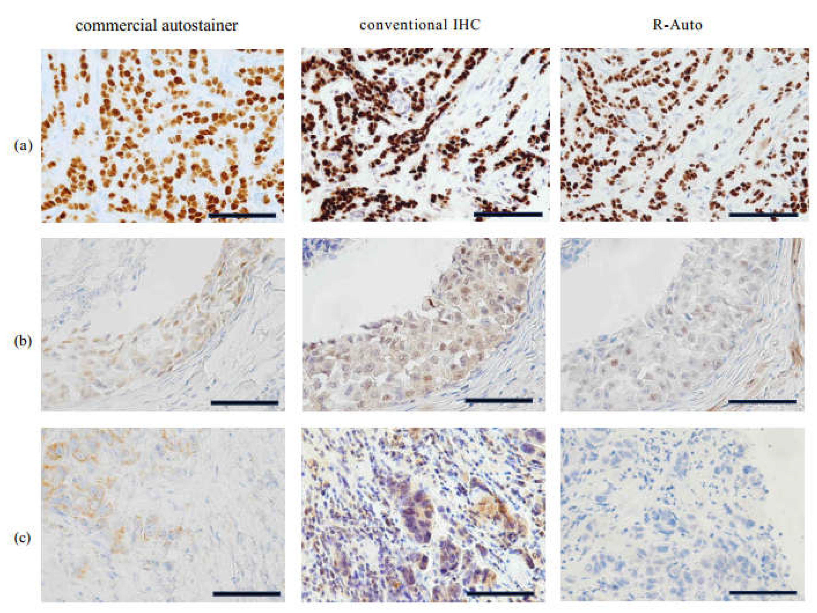 Preprints 144537 g003