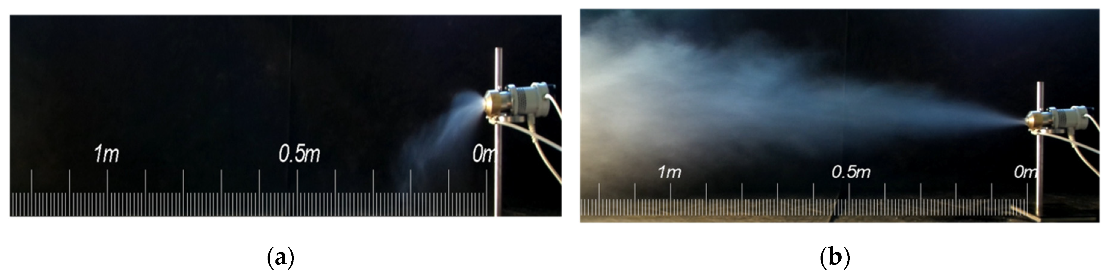 Preprints 138611 g003