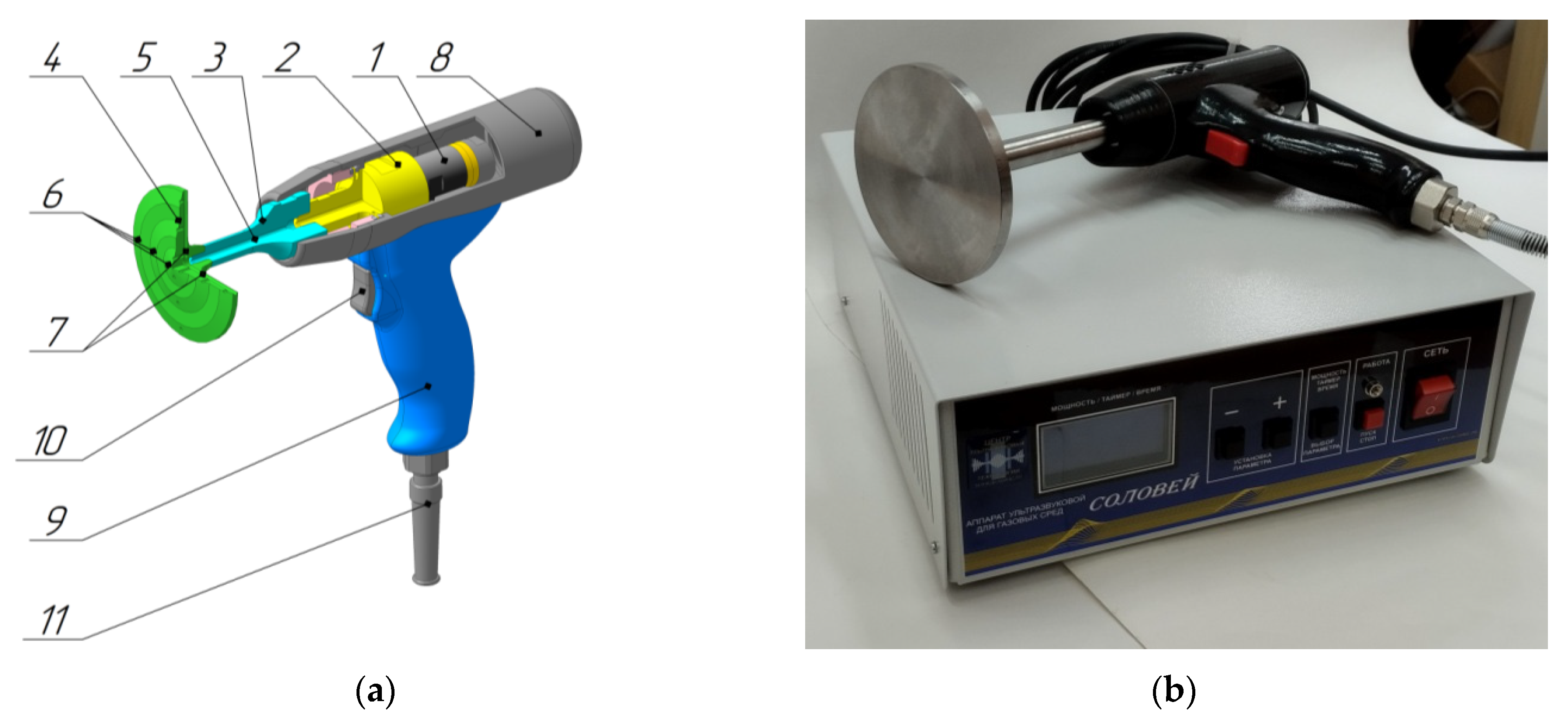 Preprints 138611 g005