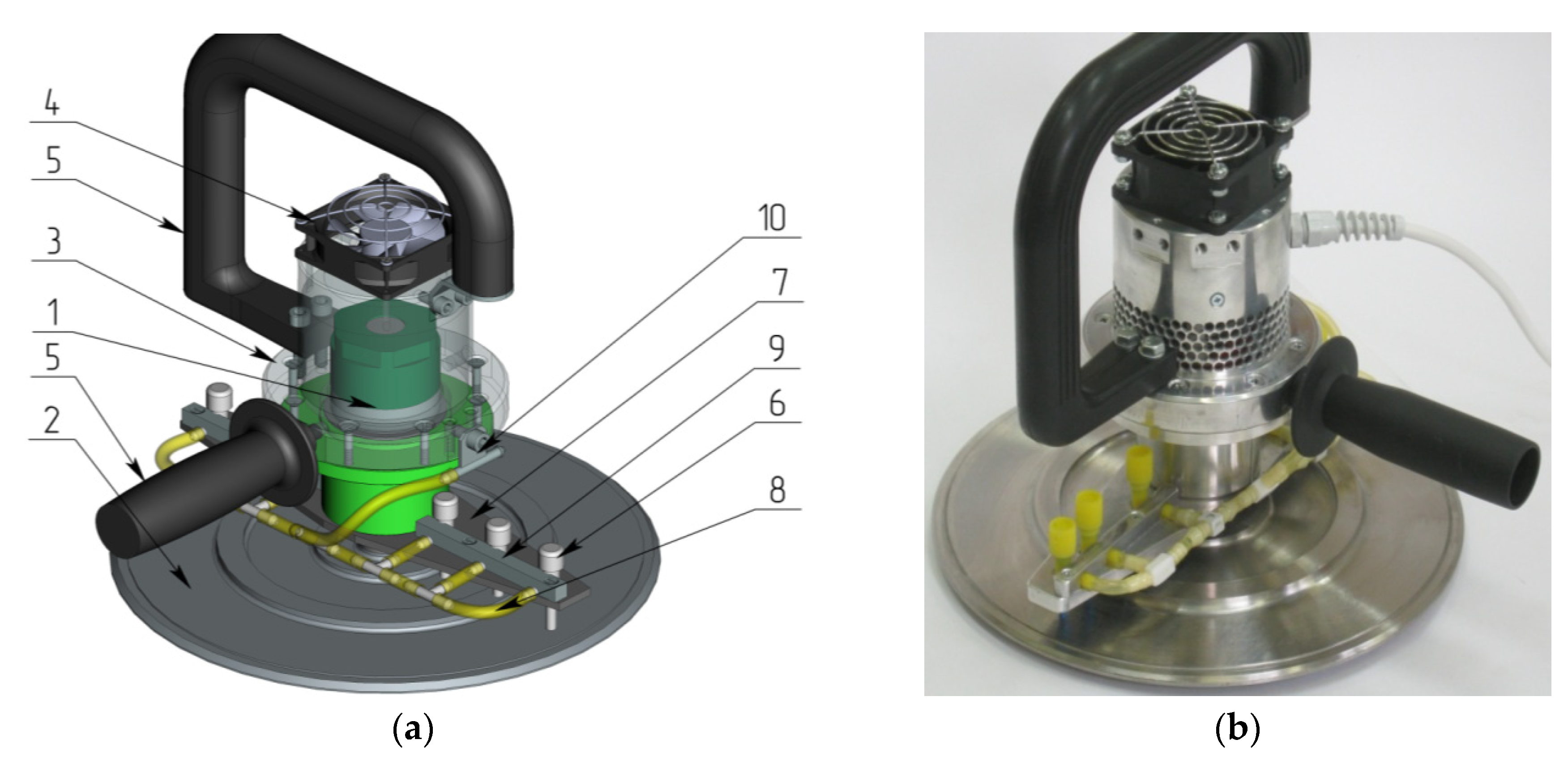 Preprints 138611 g006
