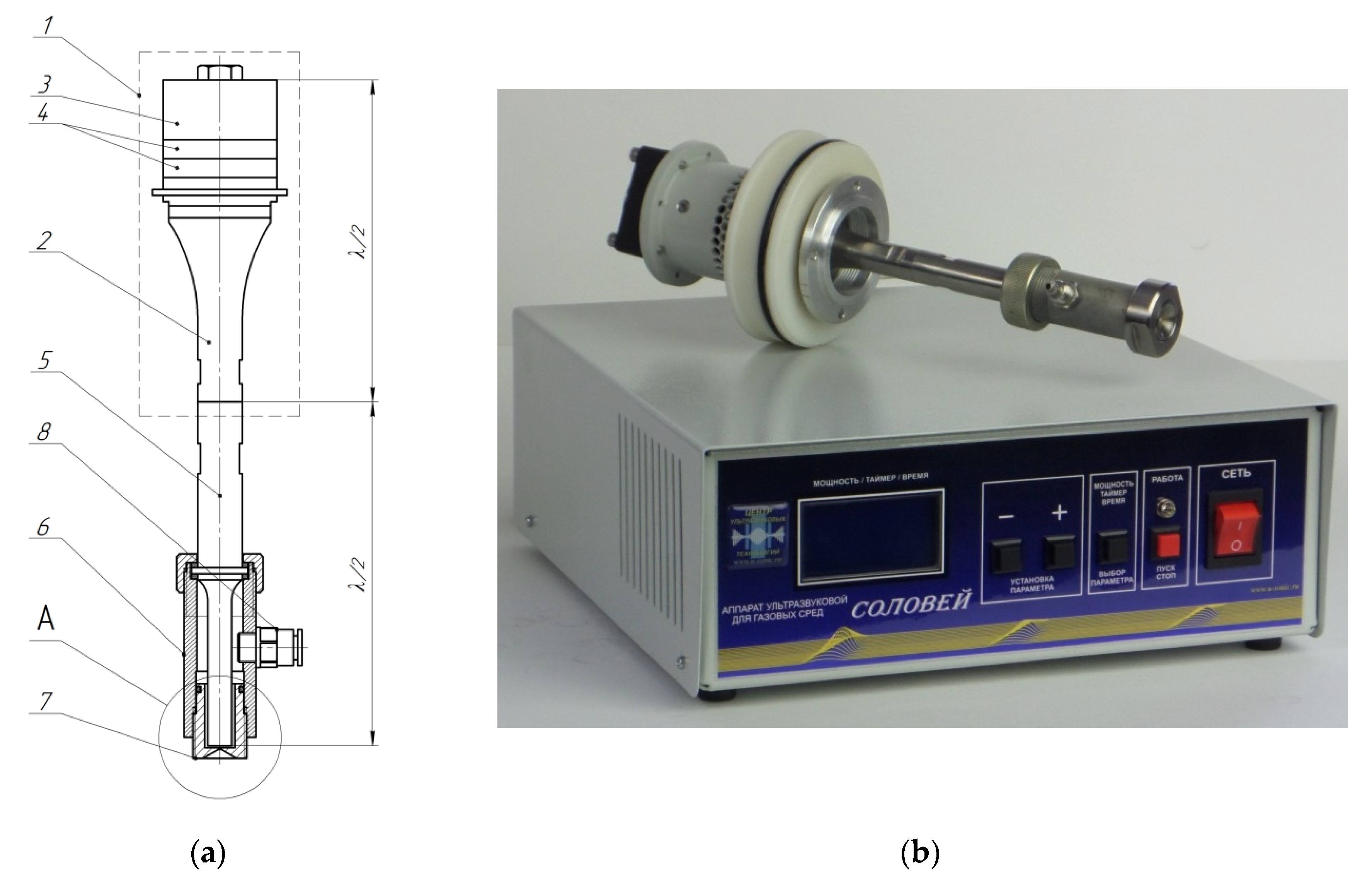 Preprints 138611 g011