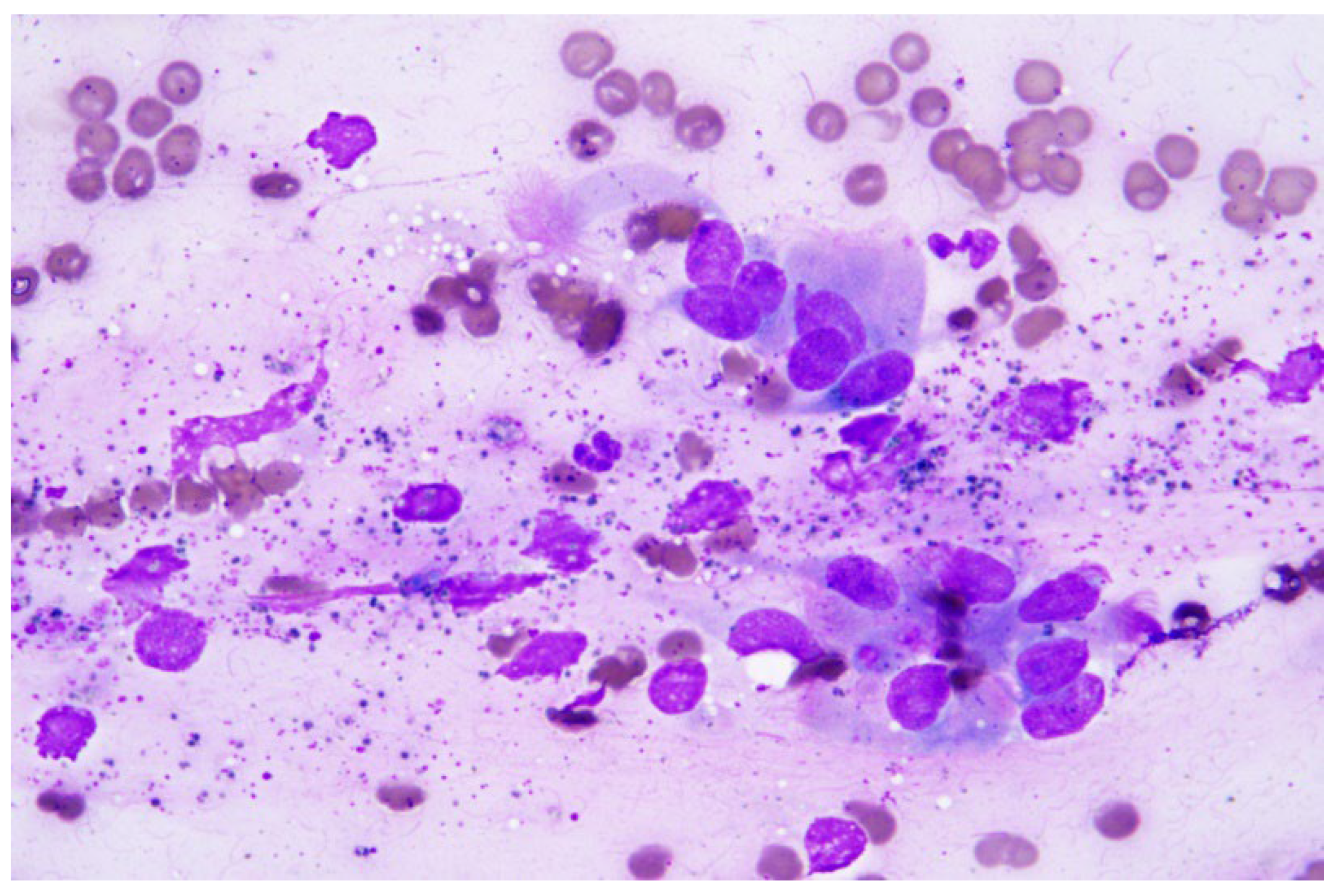 Preprints 117346 g001a