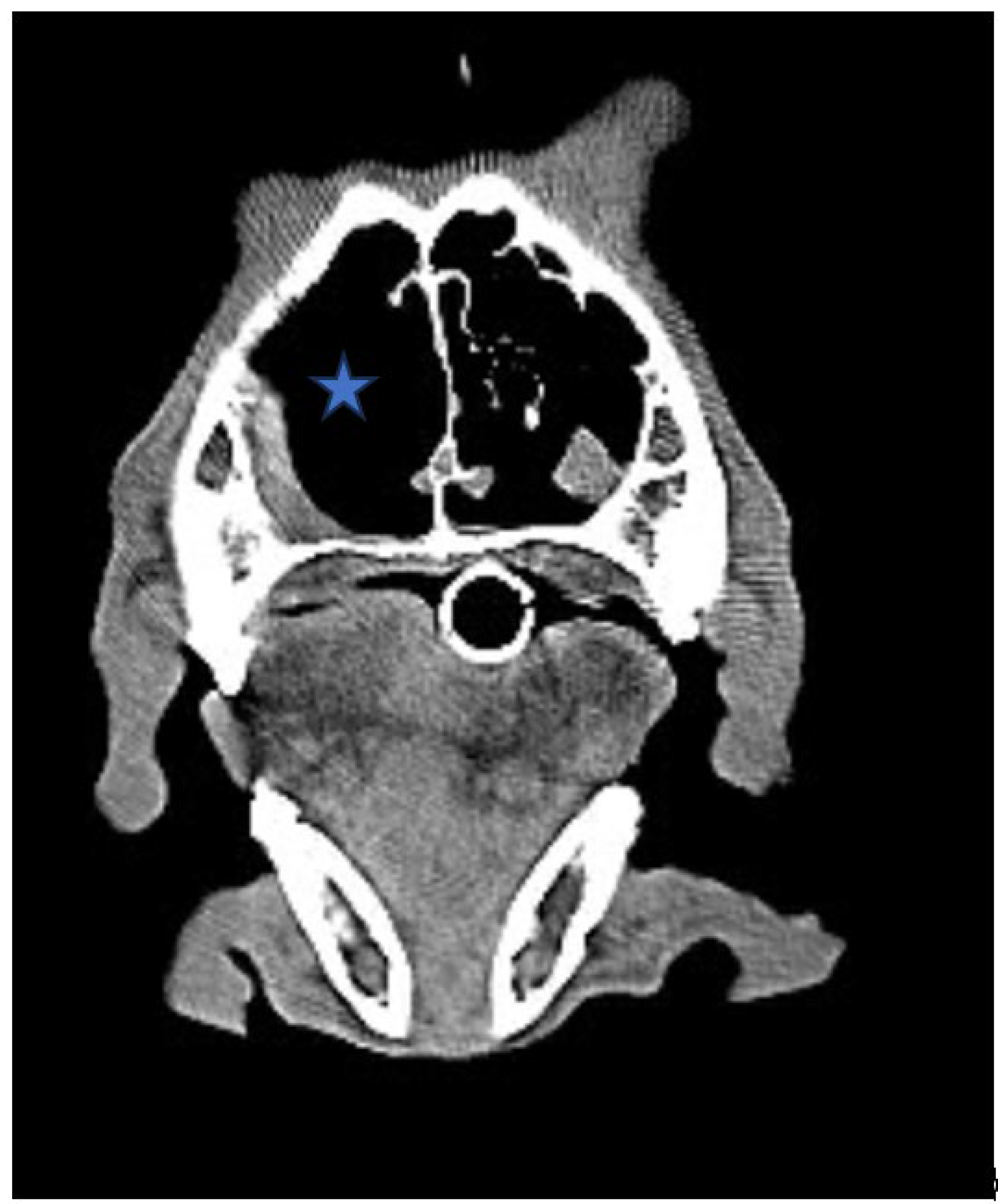 Preprints 117346 g002b