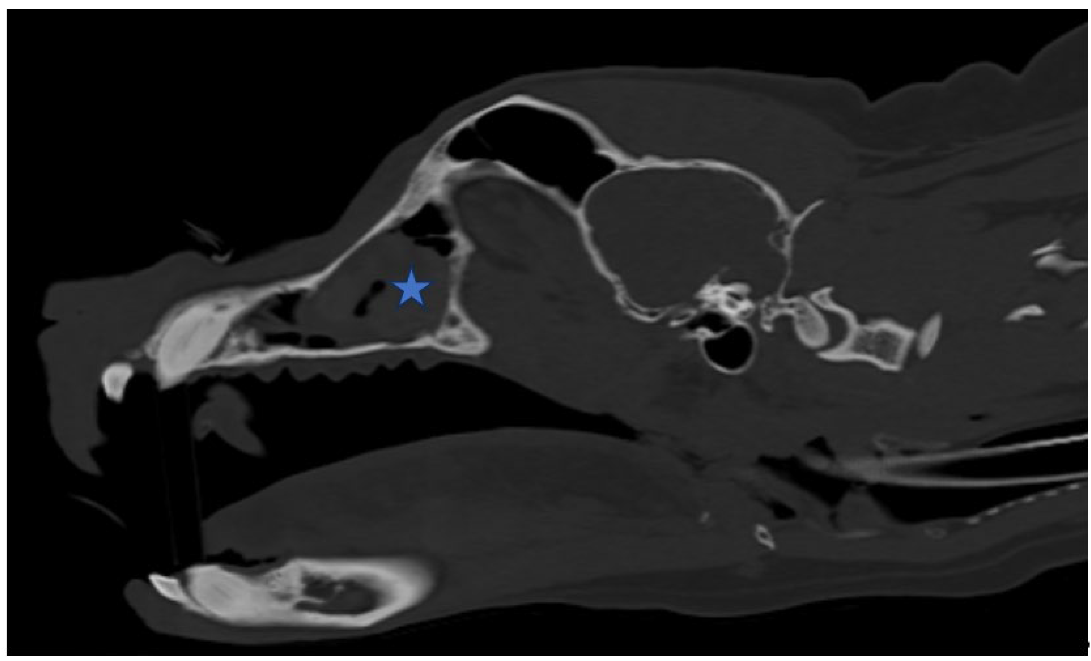 Preprints 117346 g003a