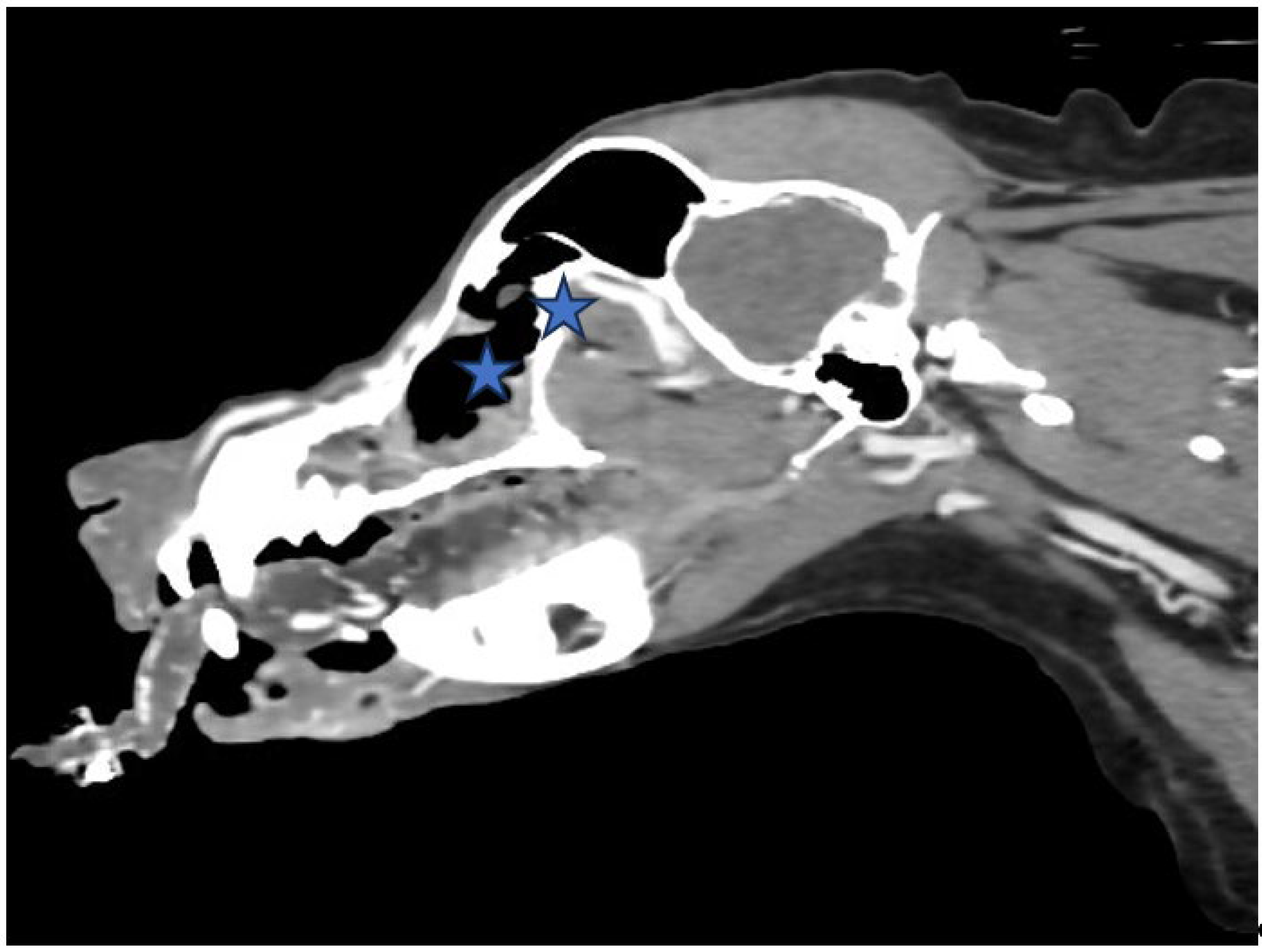 Preprints 117346 g003b