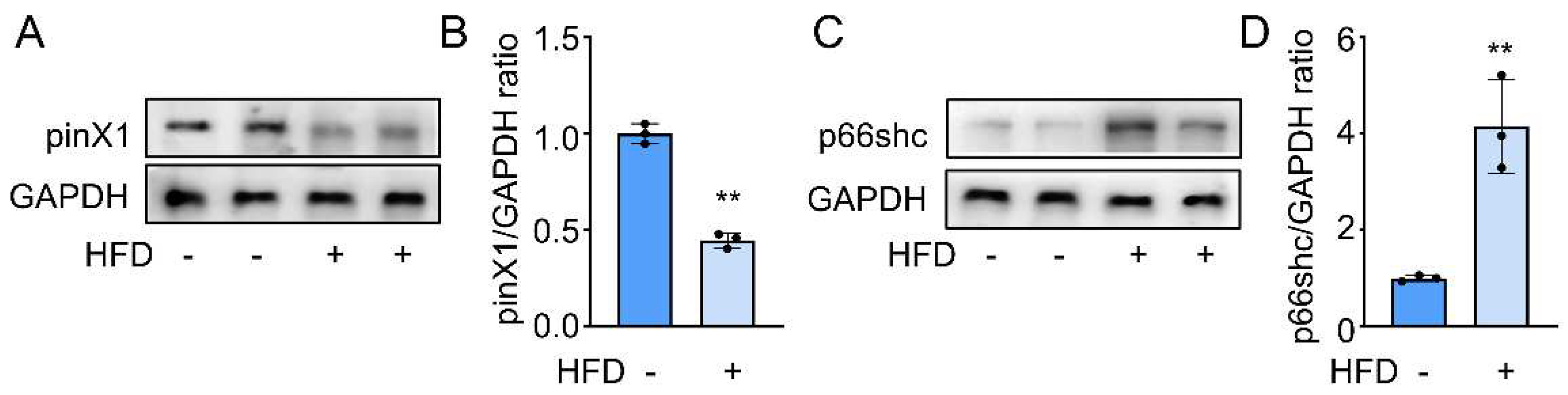 Preprints 80550 g001