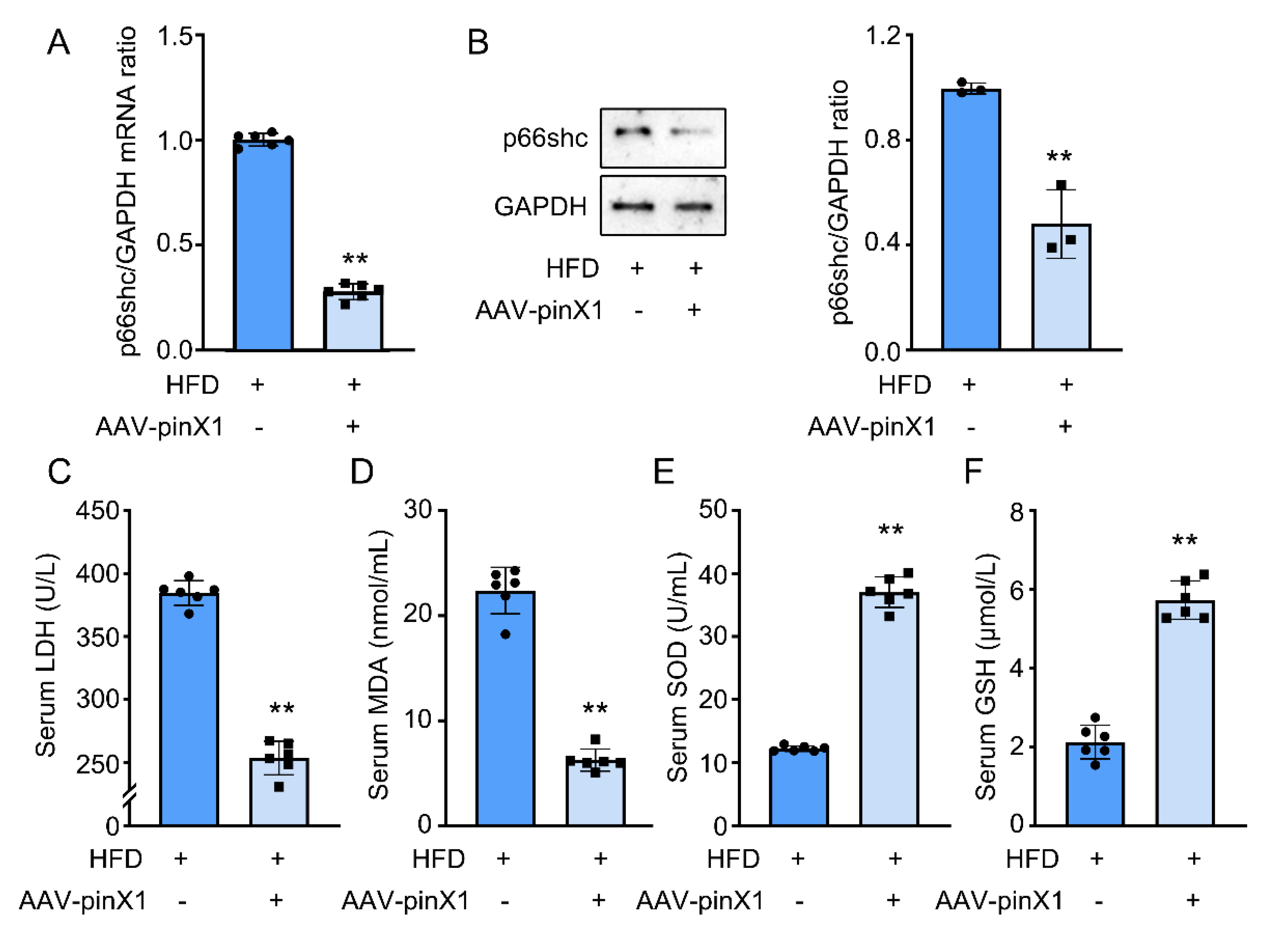Preprints 80550 g004
