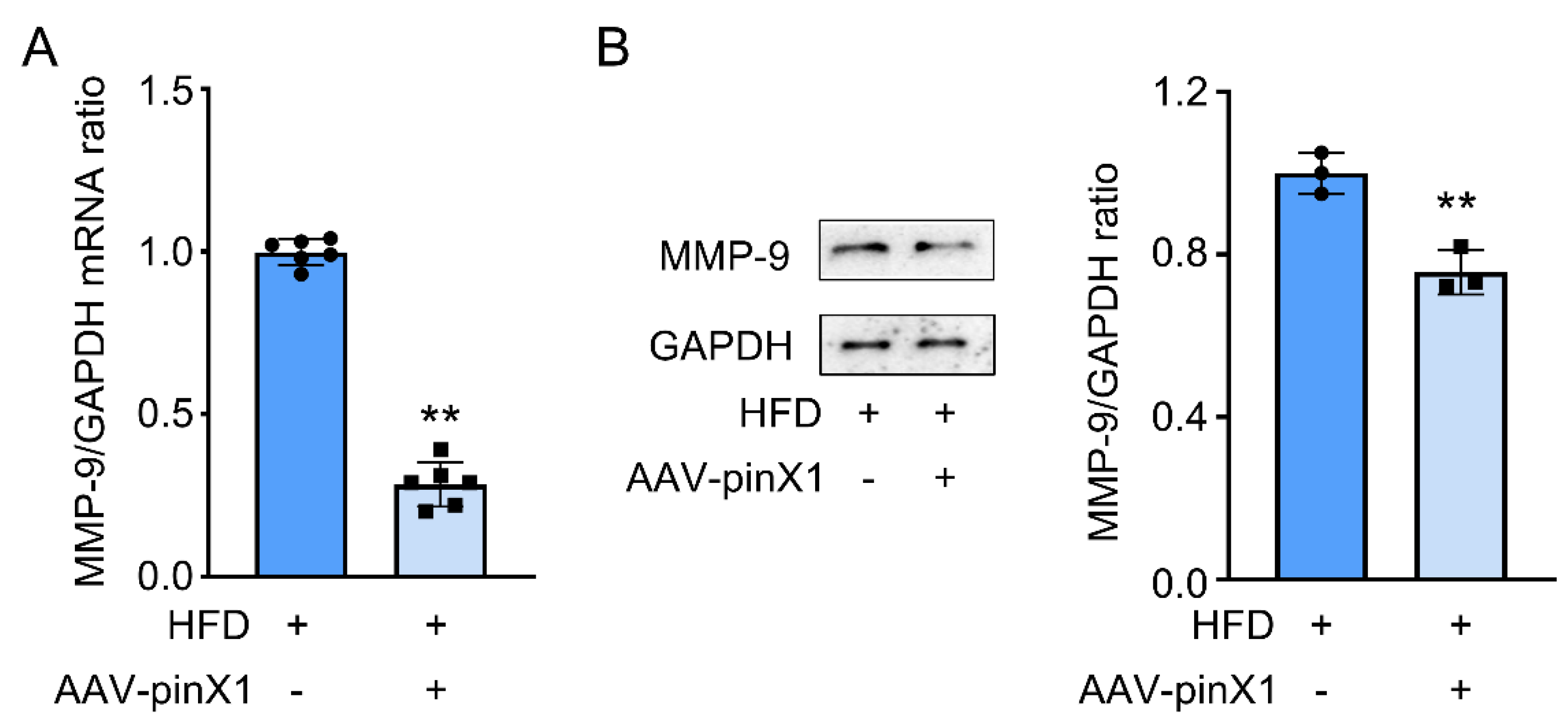 Preprints 80550 g005