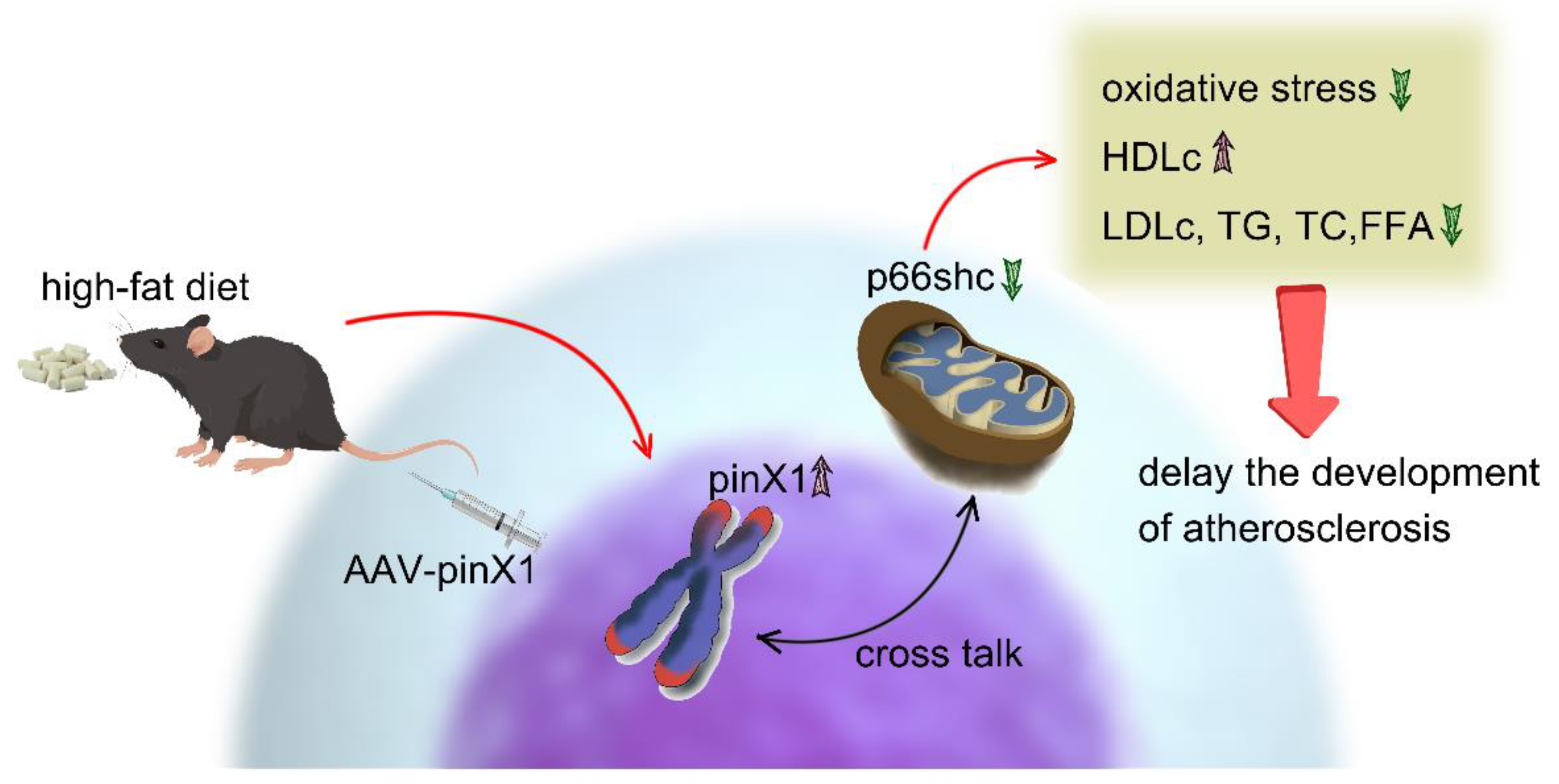 Preprints 80550 g006