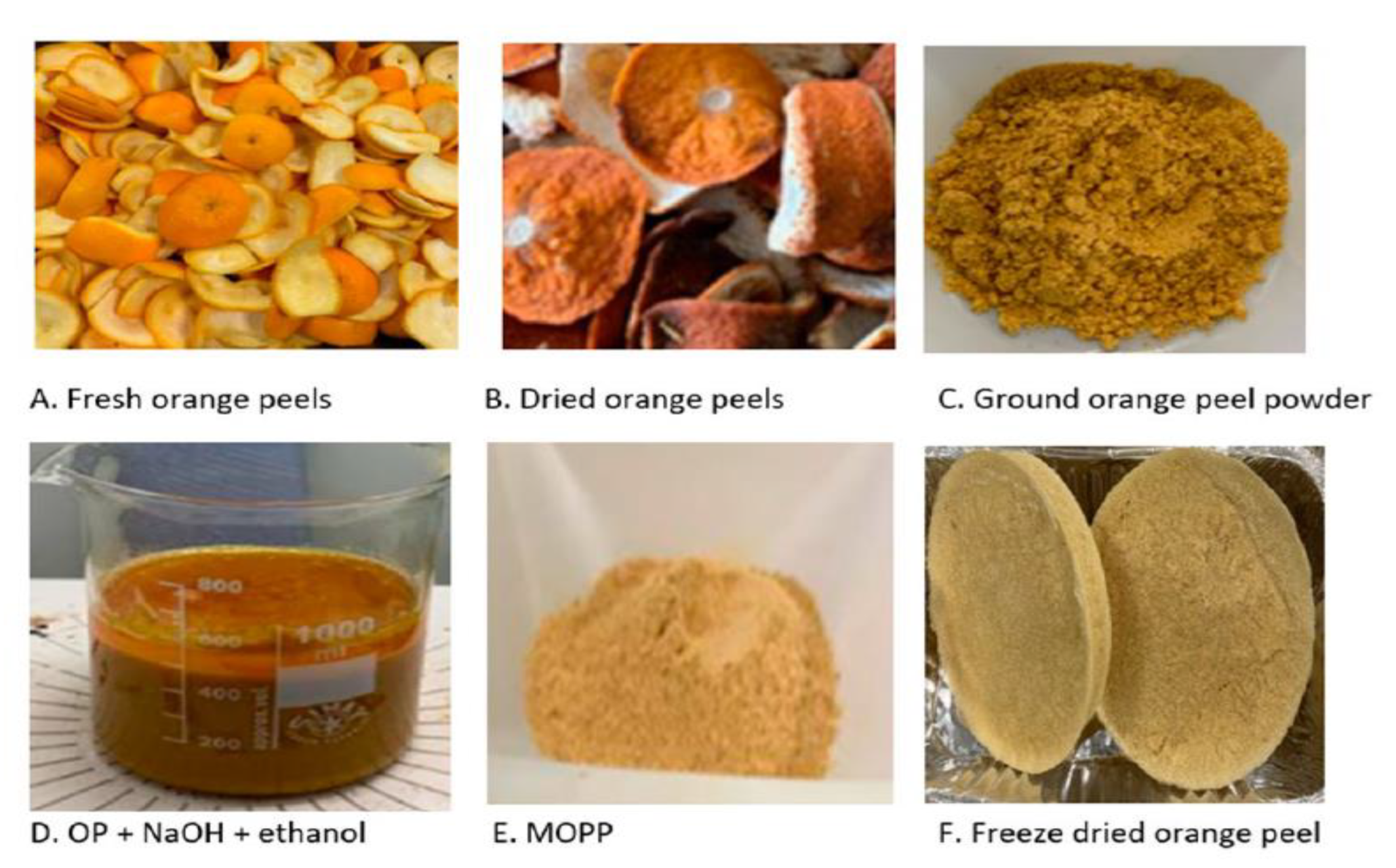 Preprints 189121 g001