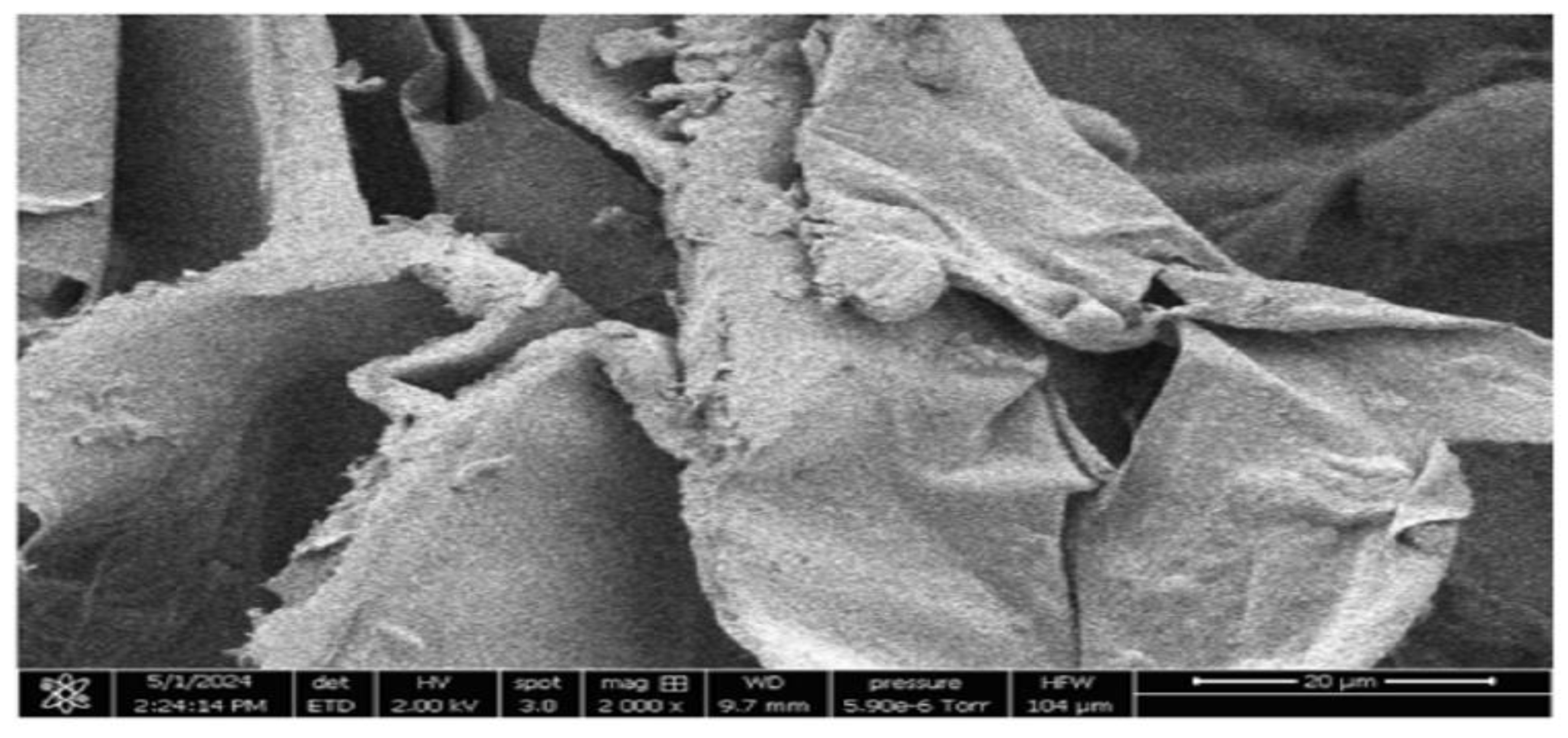 Preprints 189121 g003