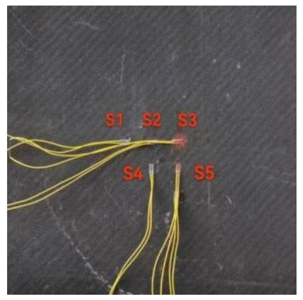 Preprints 180102 g002