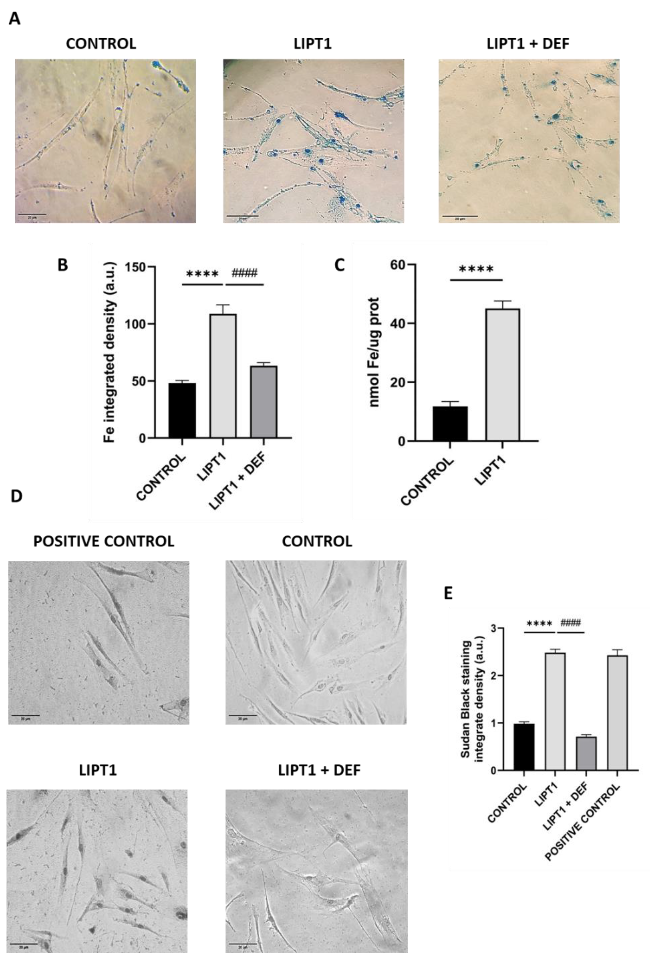 Preprints 112870 g002