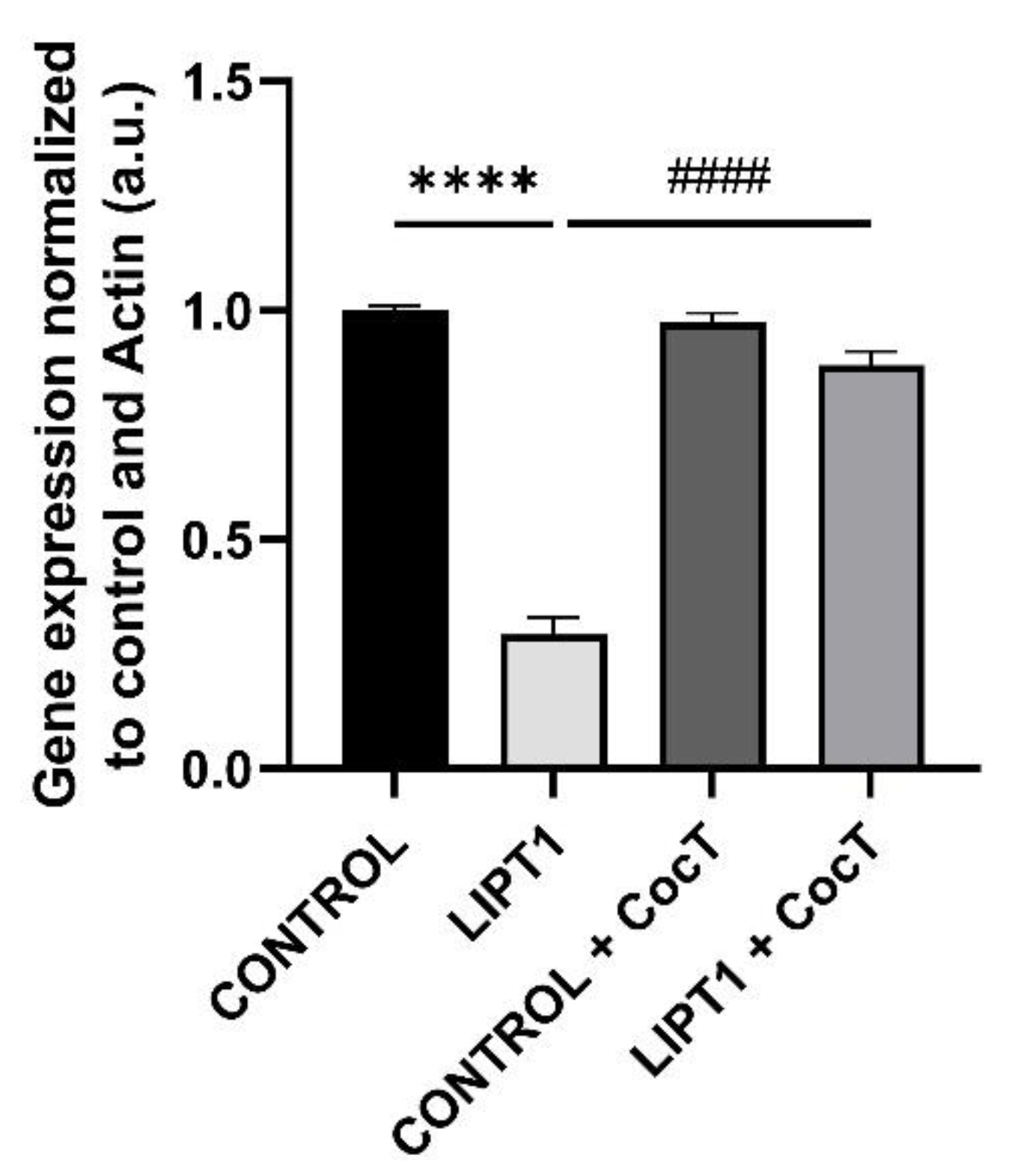 Preprints 112870 g004