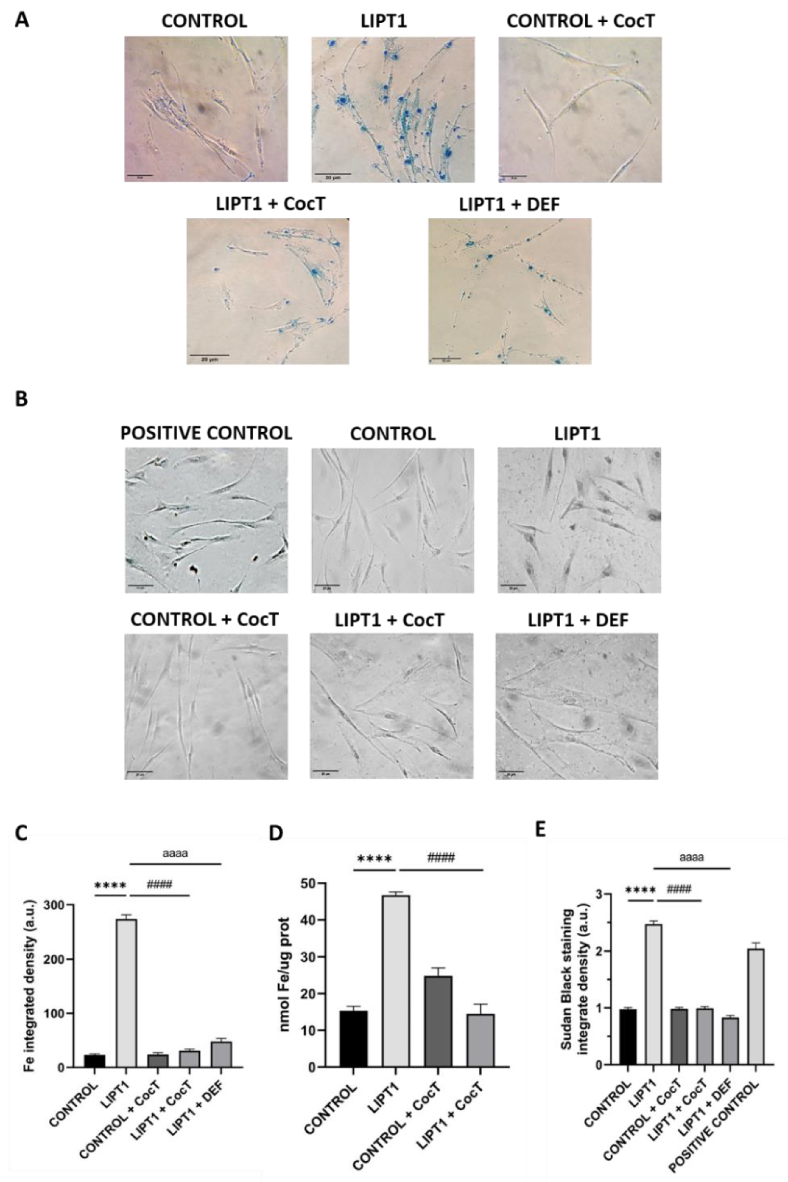 Preprints 112870 g006