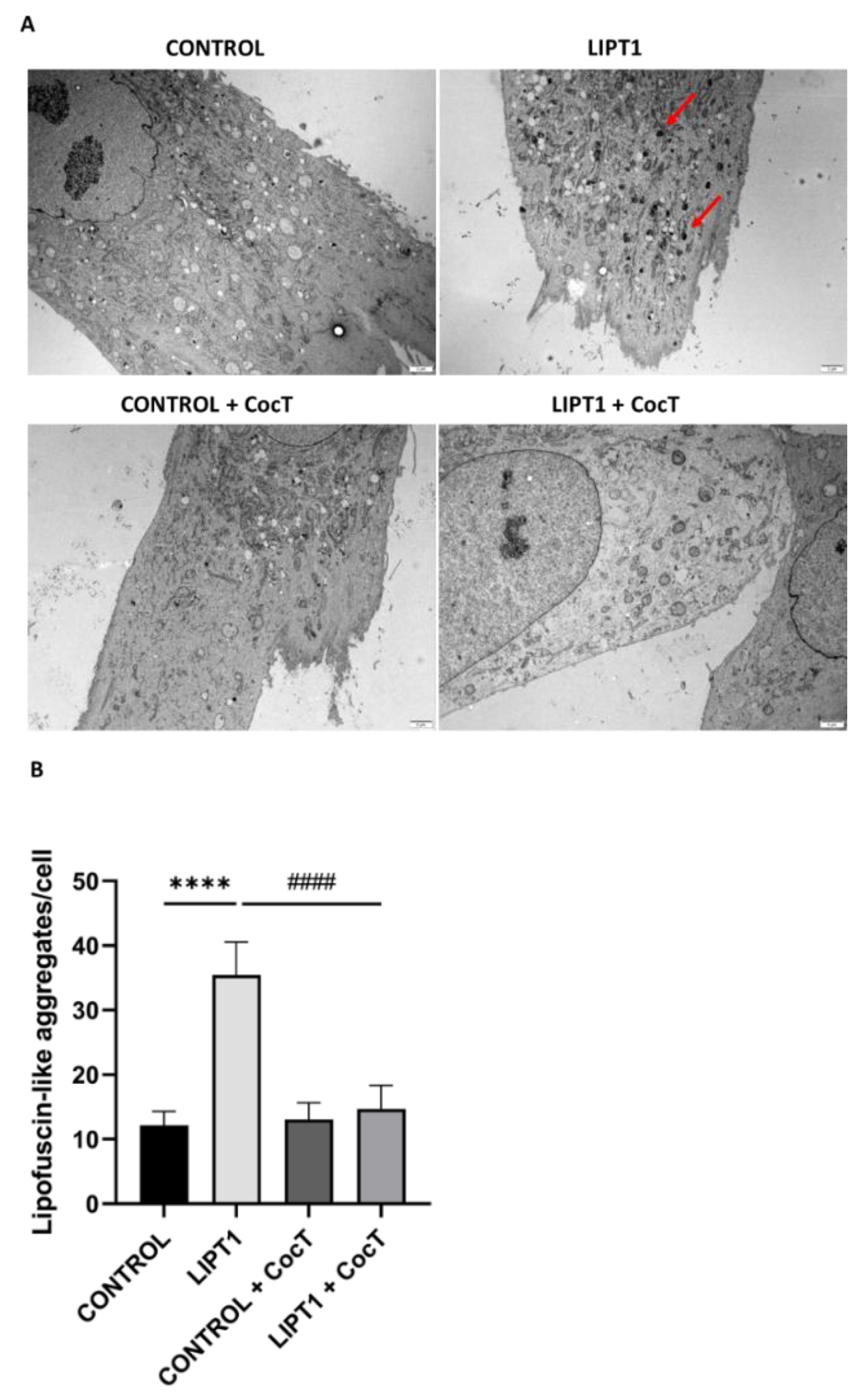 Preprints 112870 g007