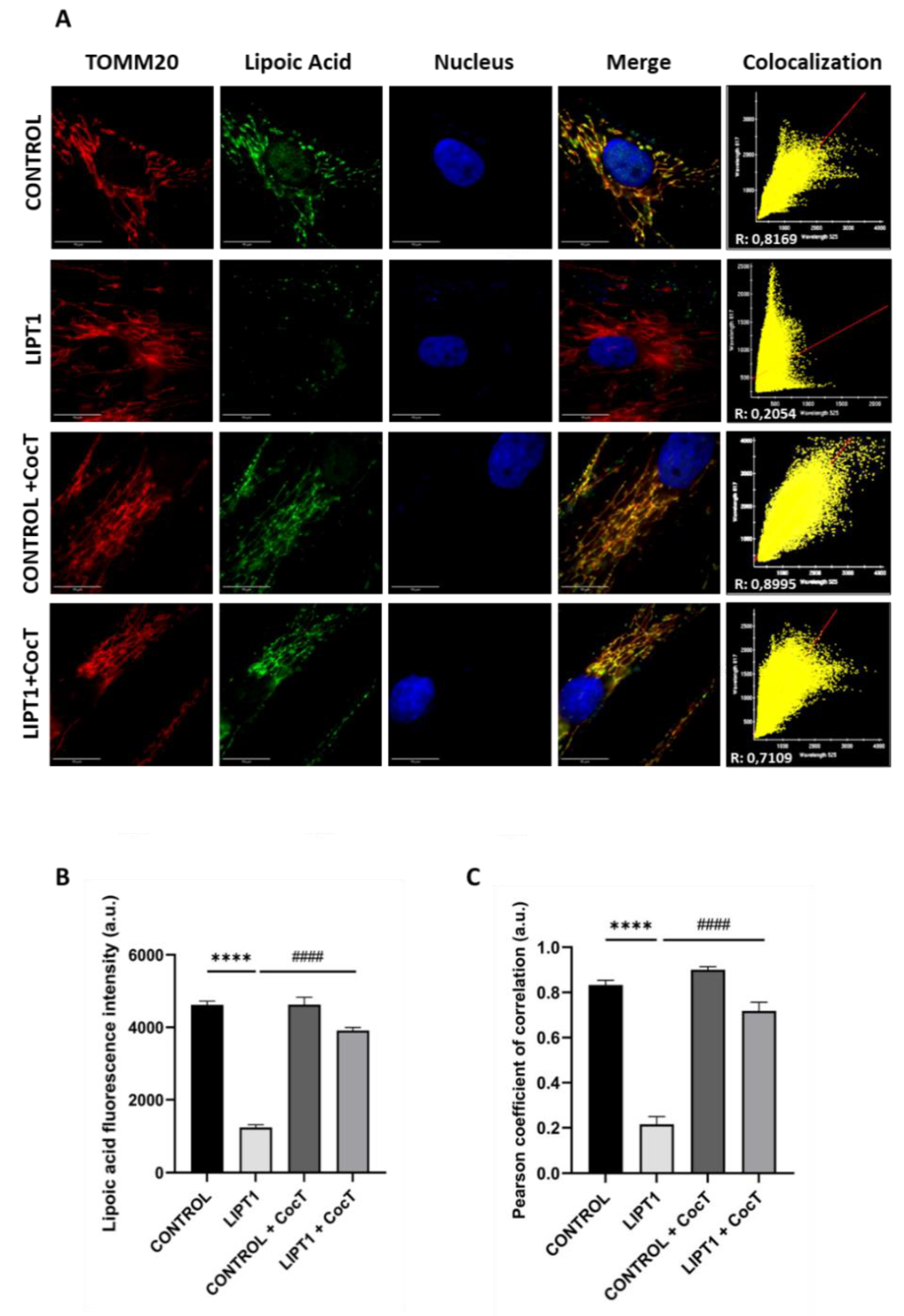 Preprints 112870 g008
