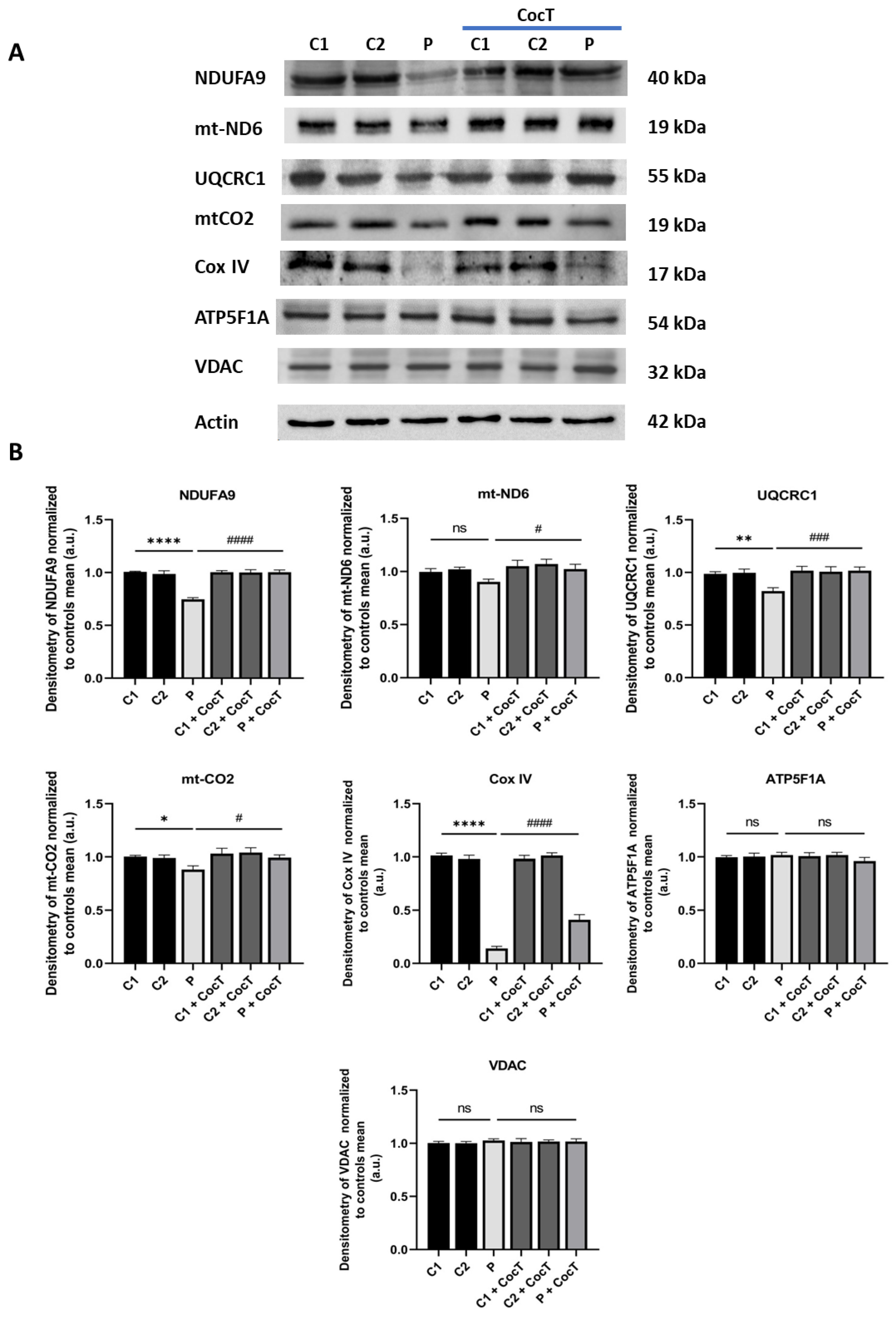 Preprints 112870 g009