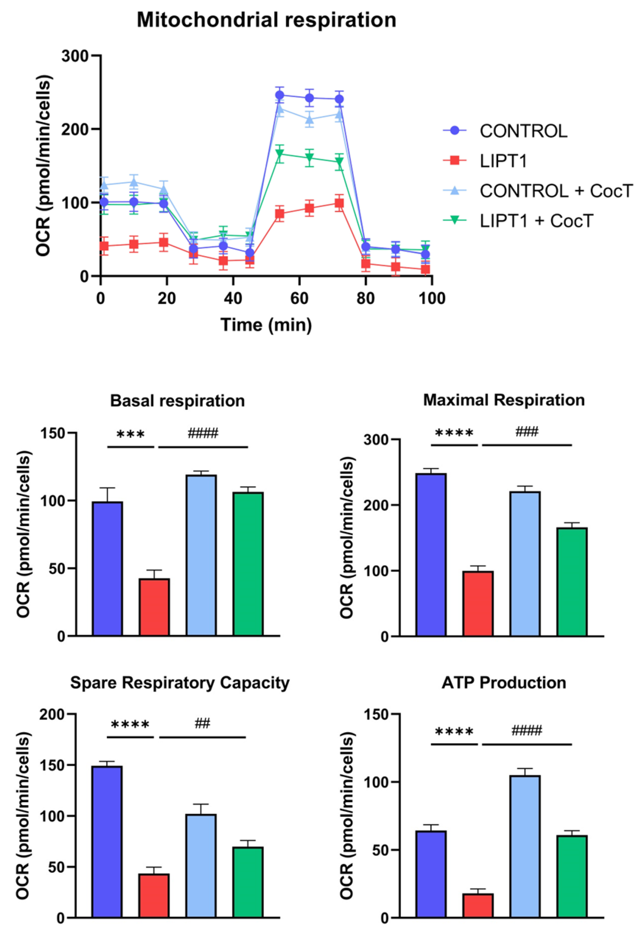 Preprints 112870 g010