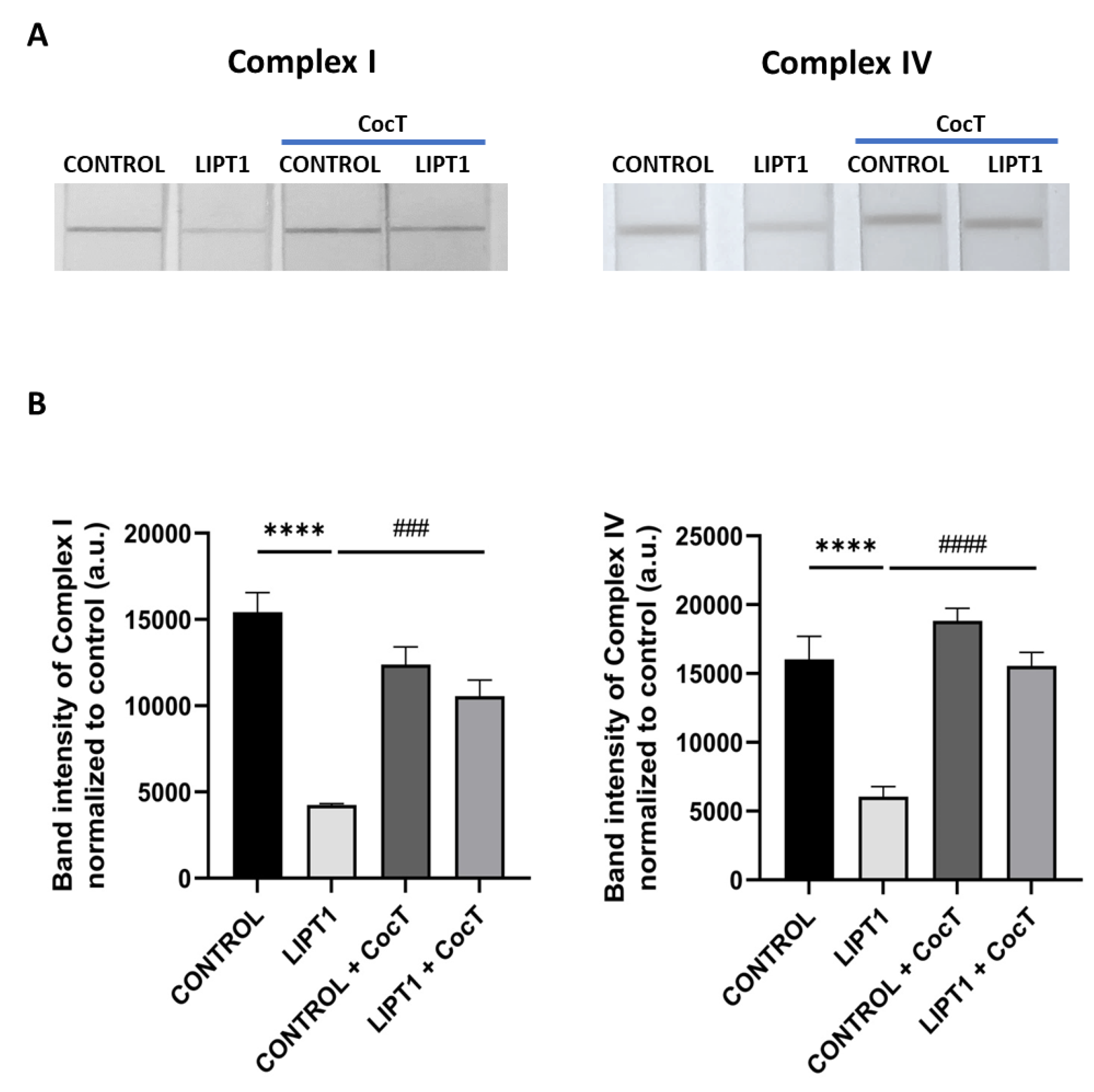 Preprints 112870 g011
