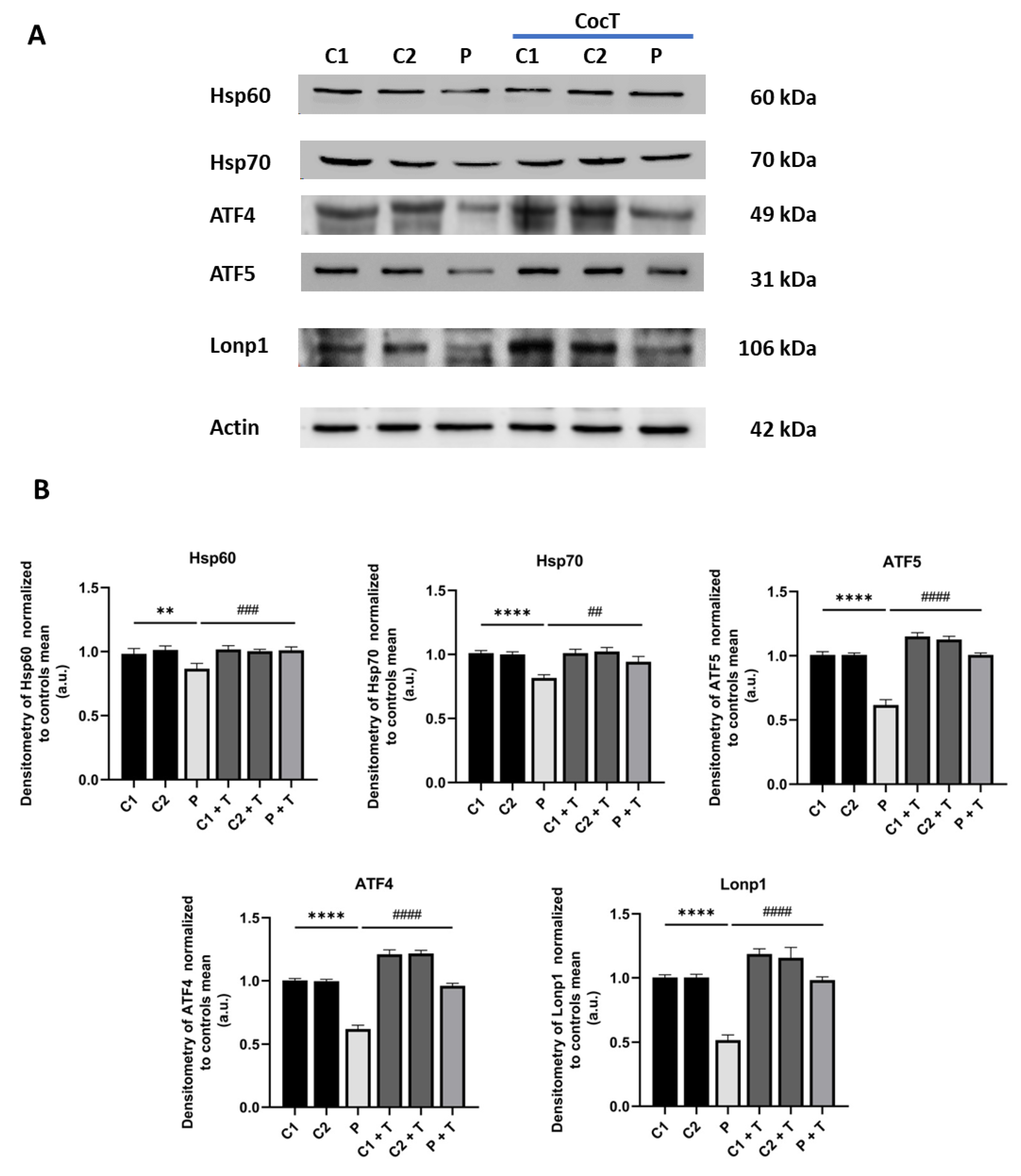 Preprints 112870 g012