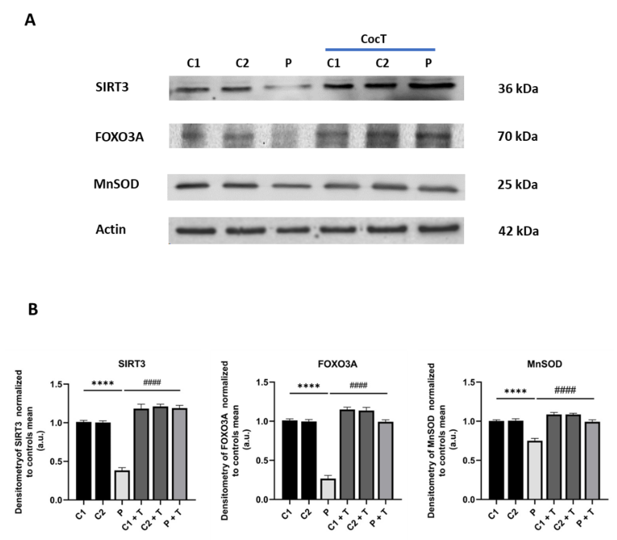 Preprints 112870 g013