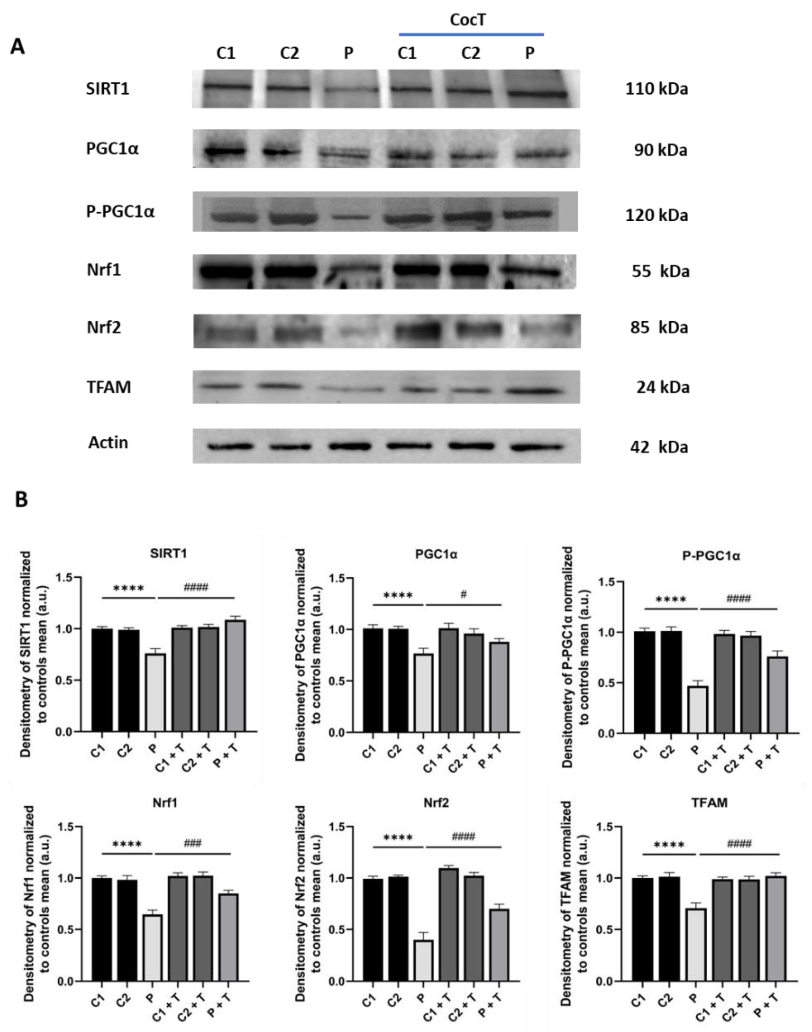 Preprints 112870 g014