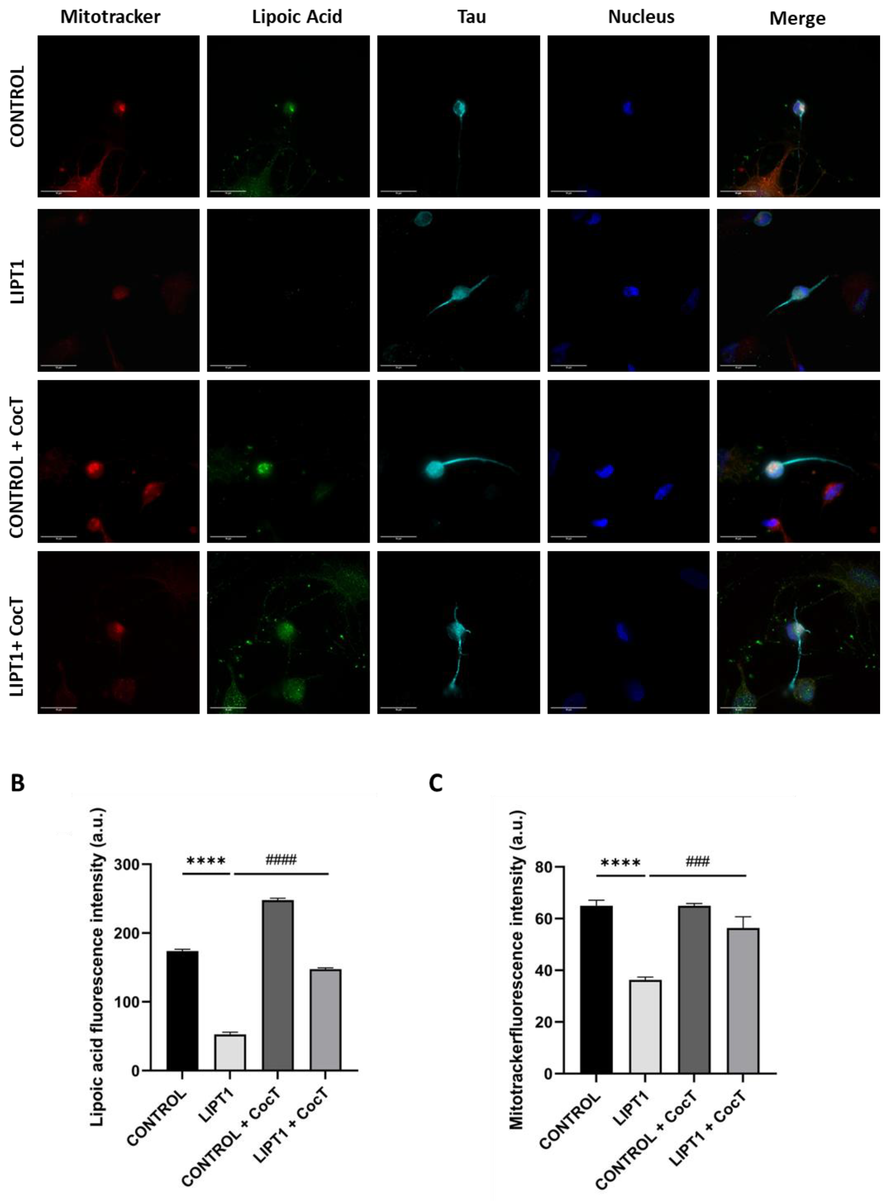 Preprints 112870 g018