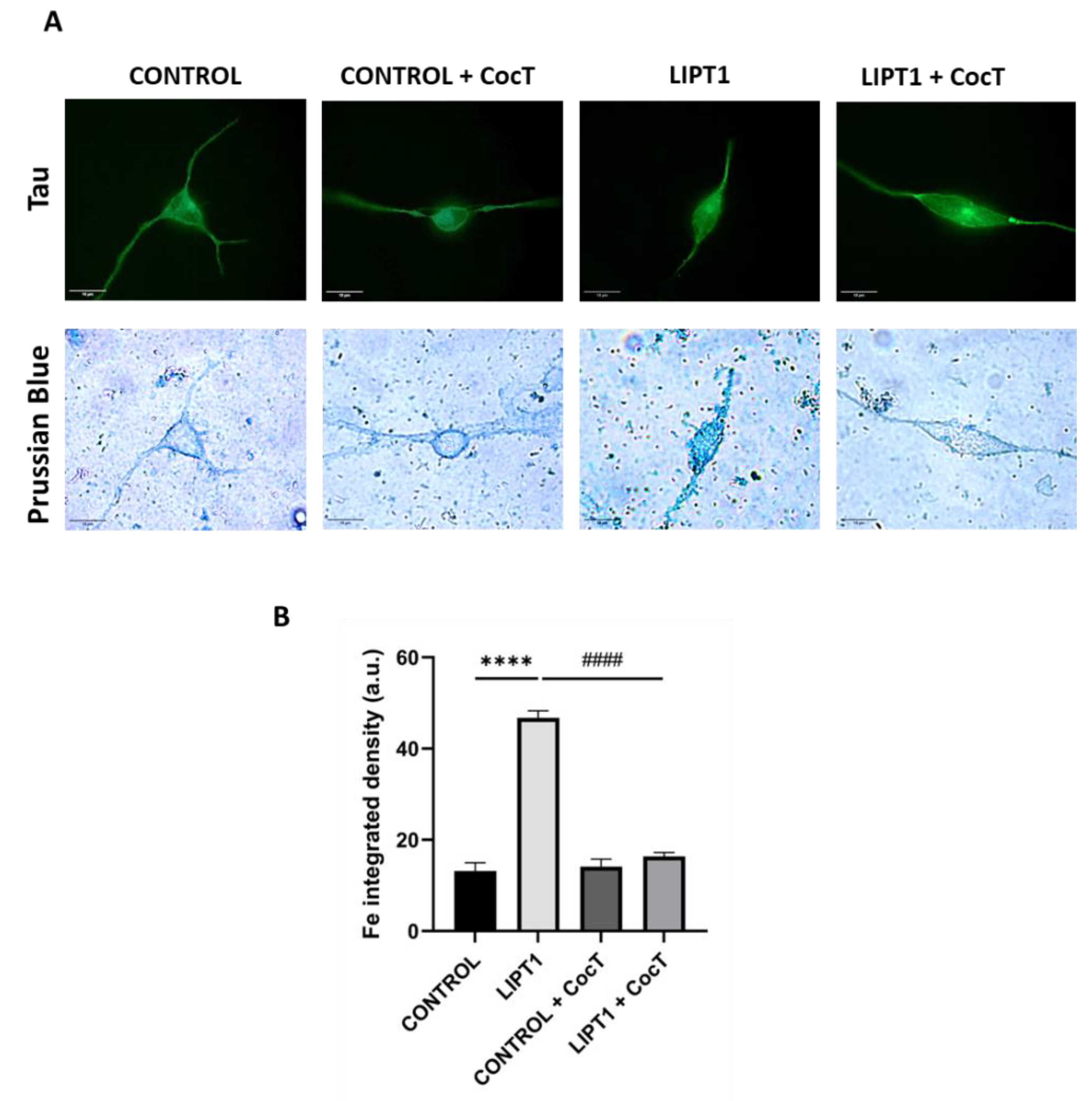 Preprints 112870 g019