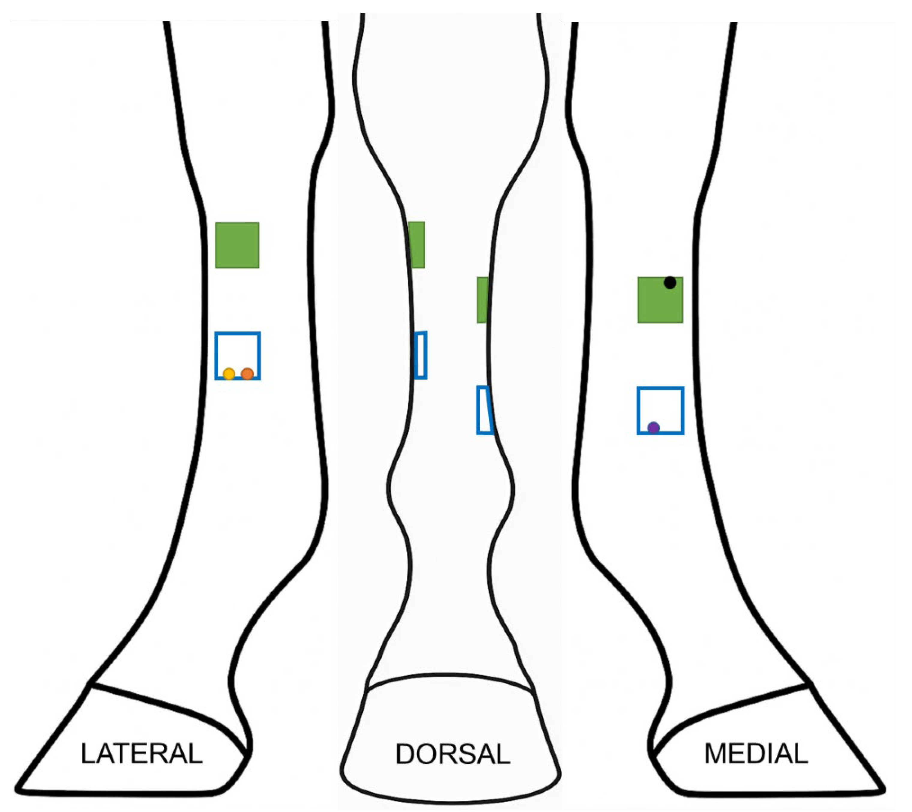 Preprints 177953 g001