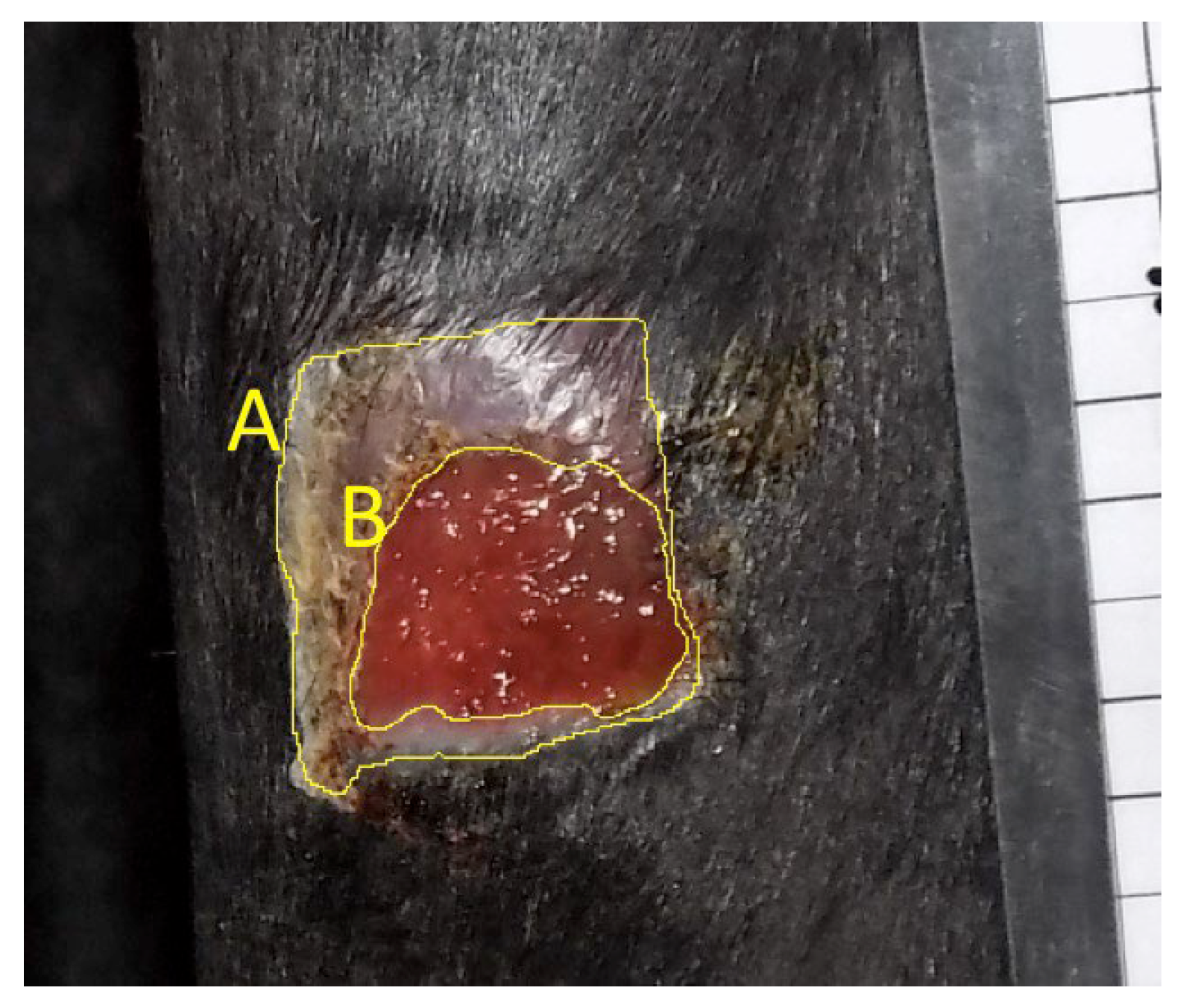 Preprints 177953 g002