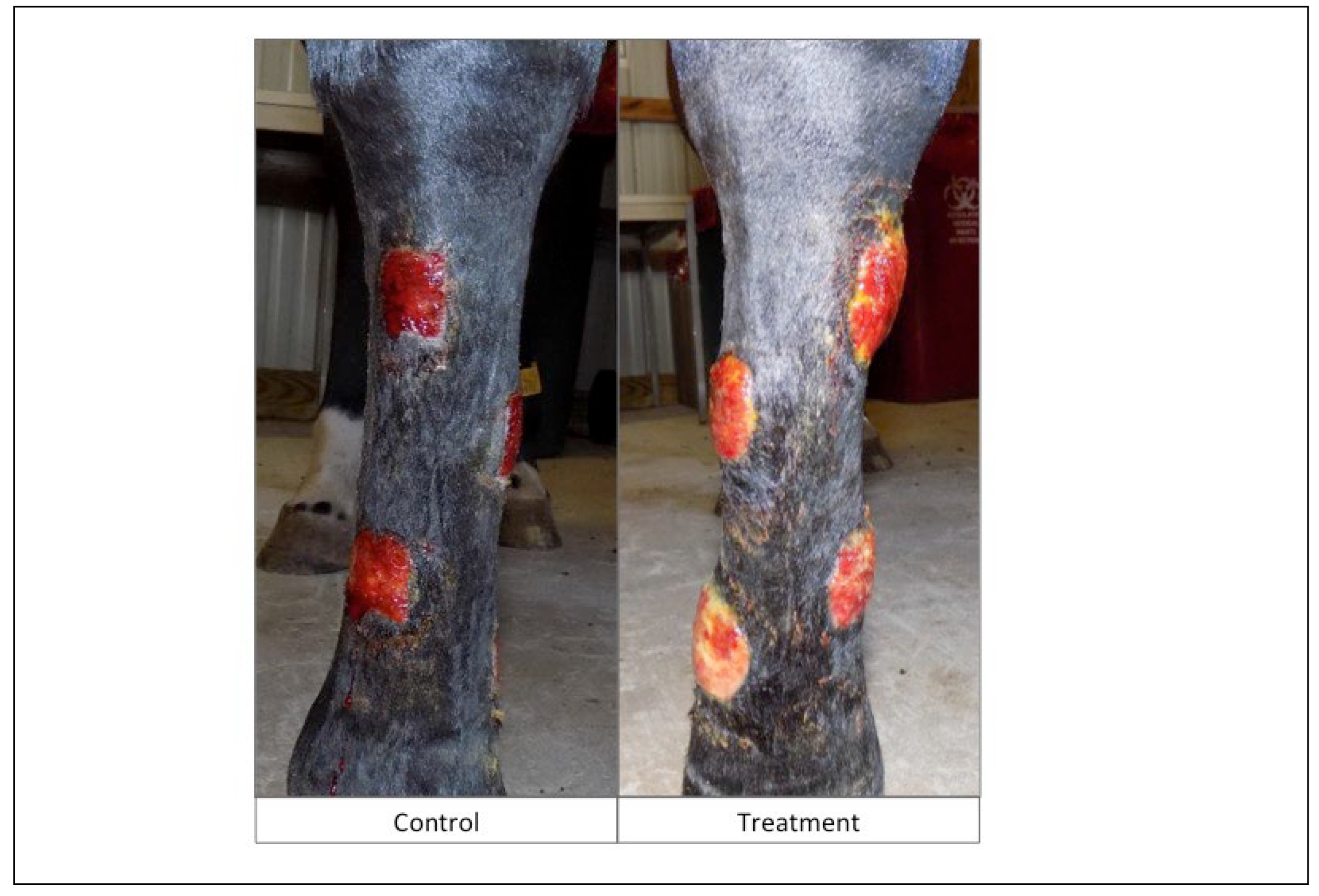 Preprints 177953 g003