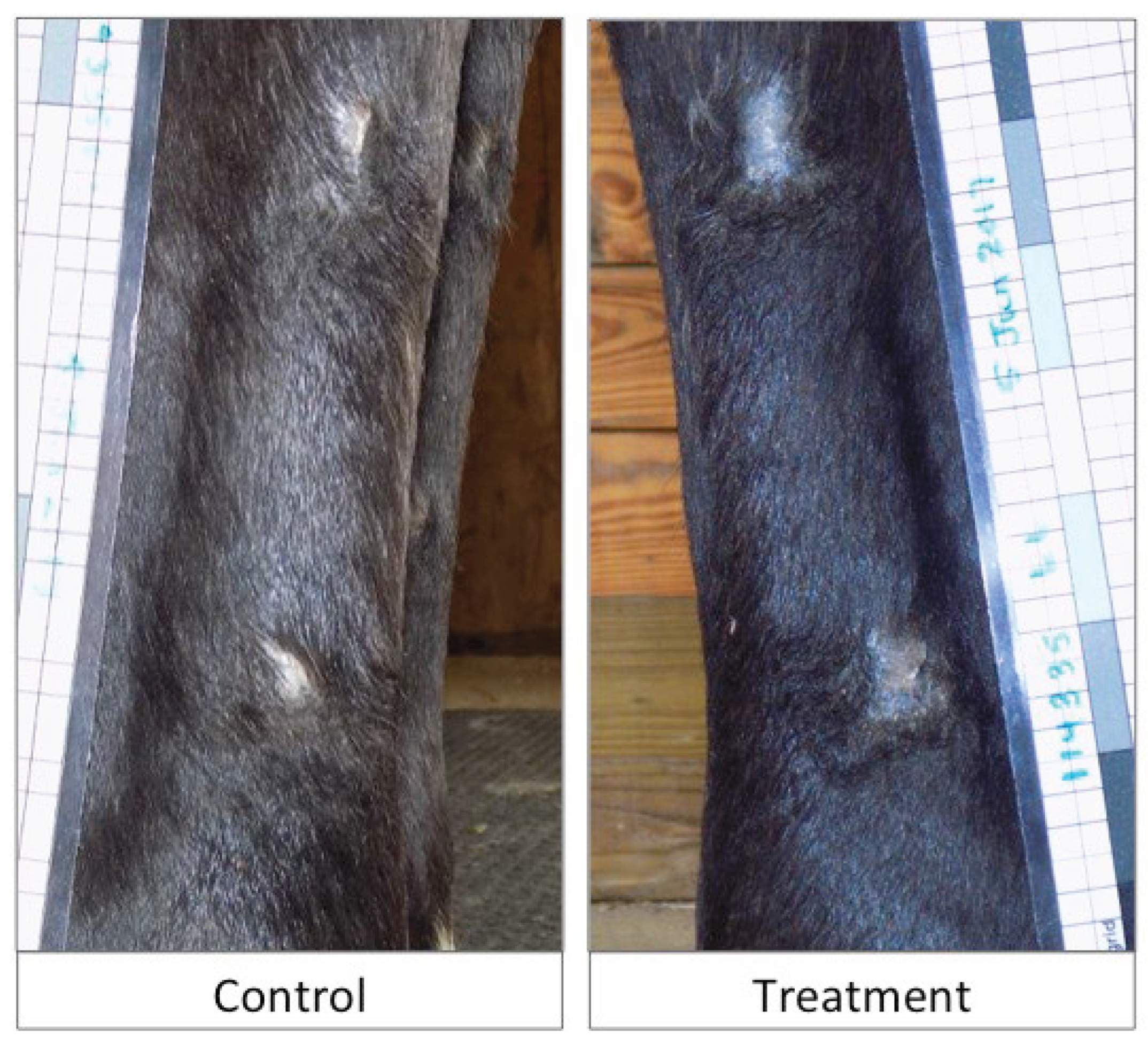 Preprints 177953 g008