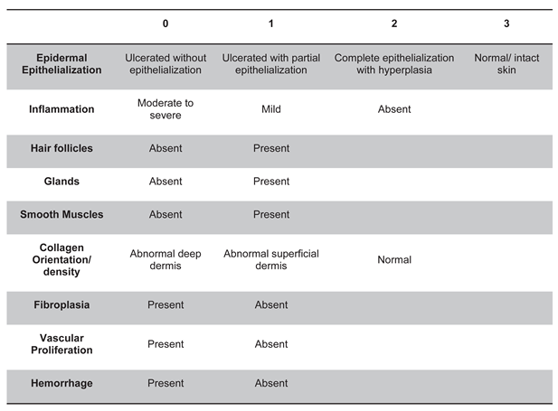 Preprints 177953 i001