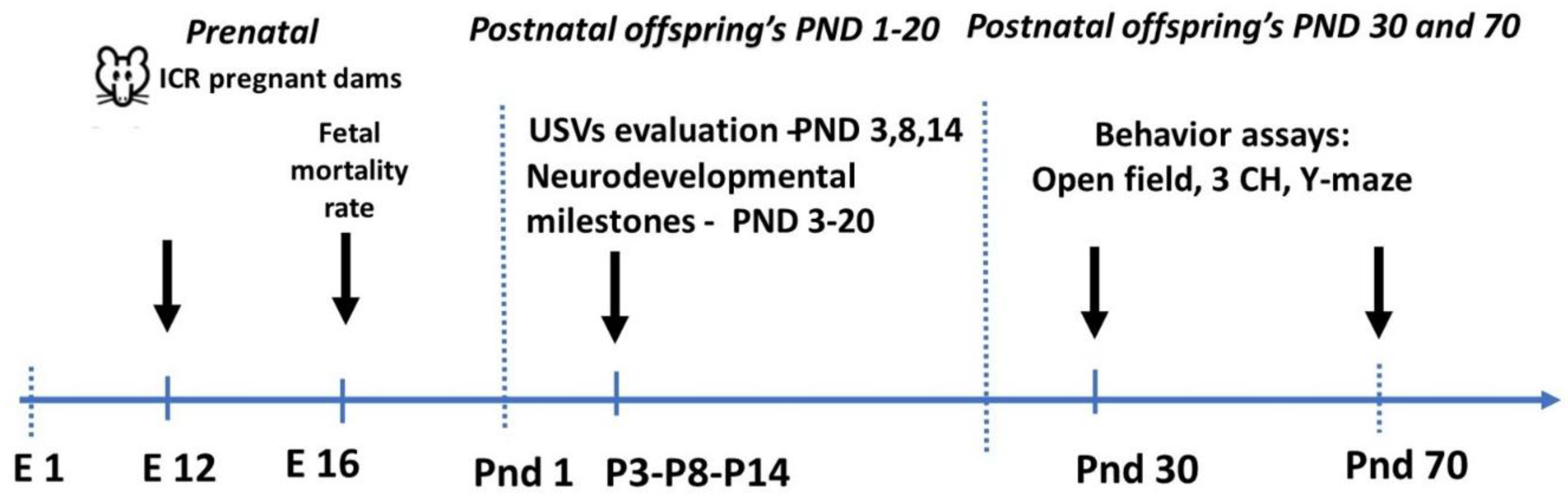 Preprints 227172 i001 Preprints 227172 i001