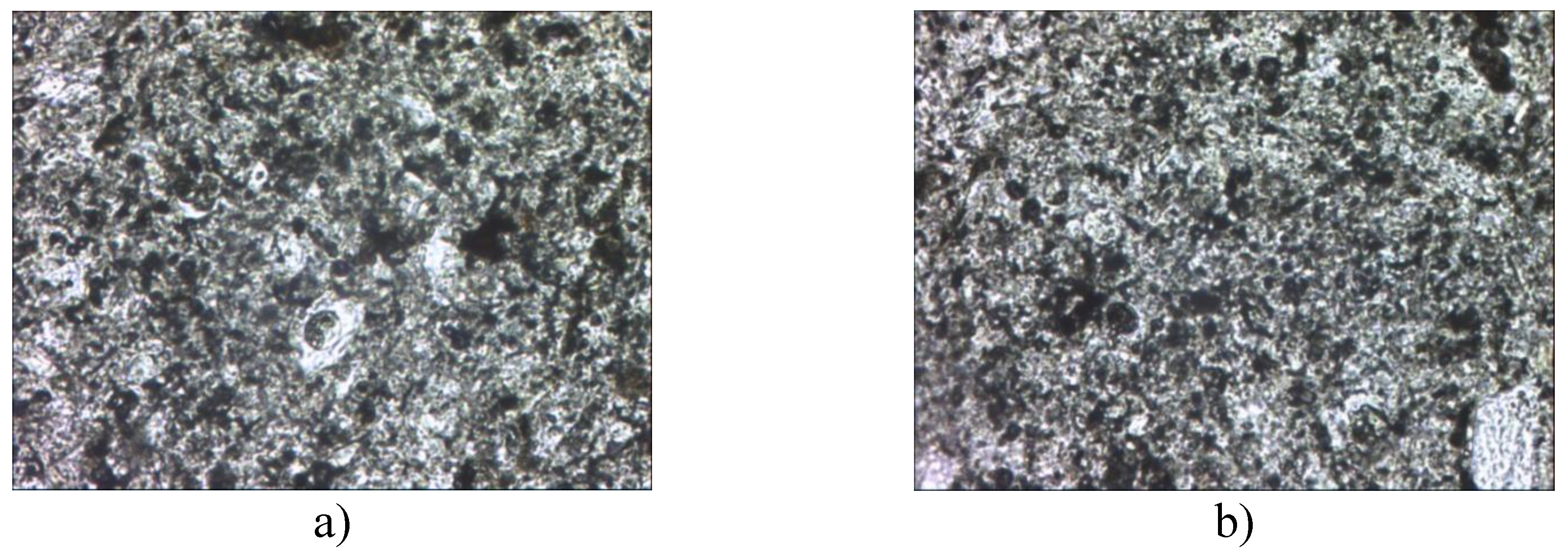 Preprints 175785 g009