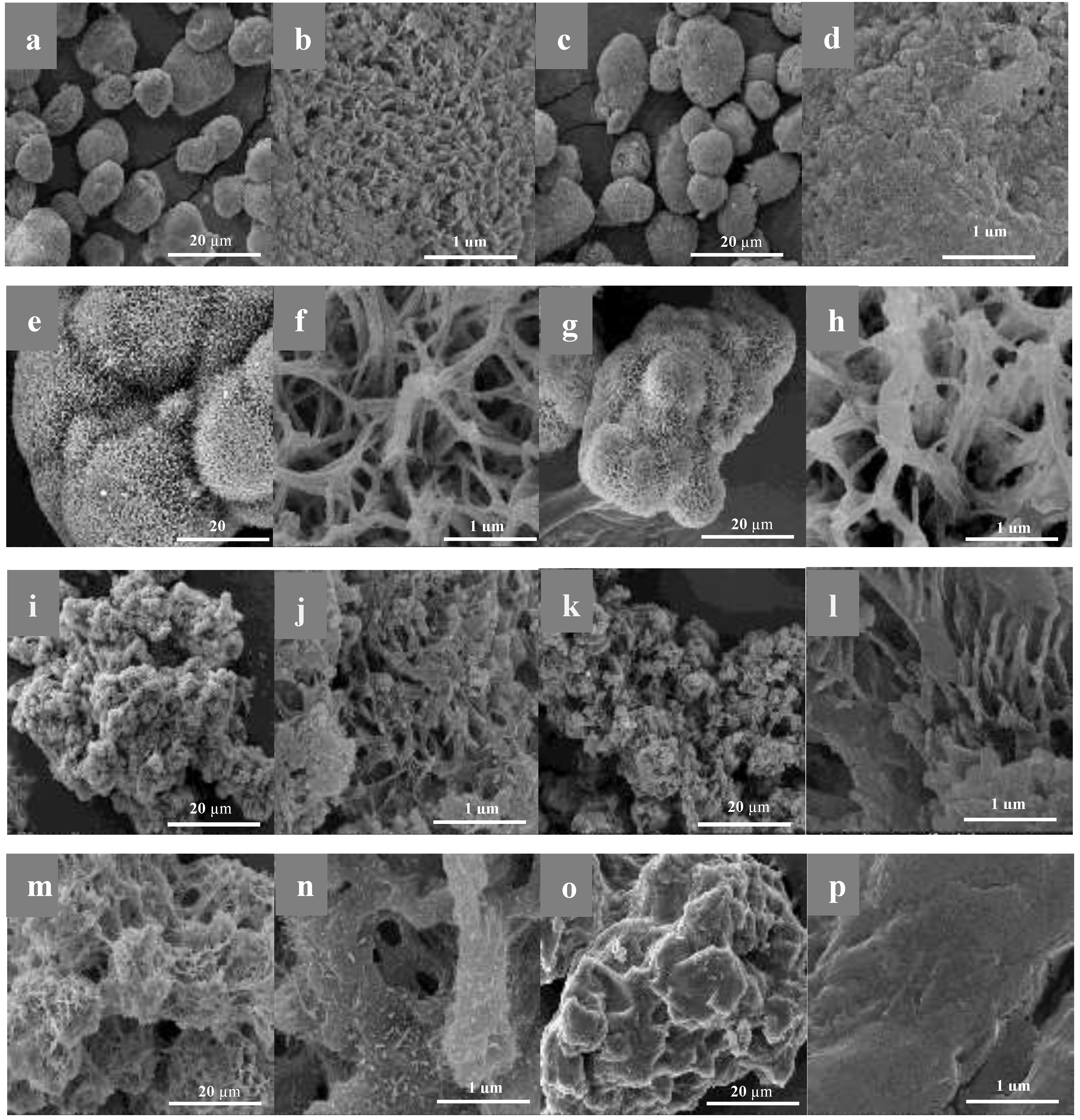 Preprints 140472 g001