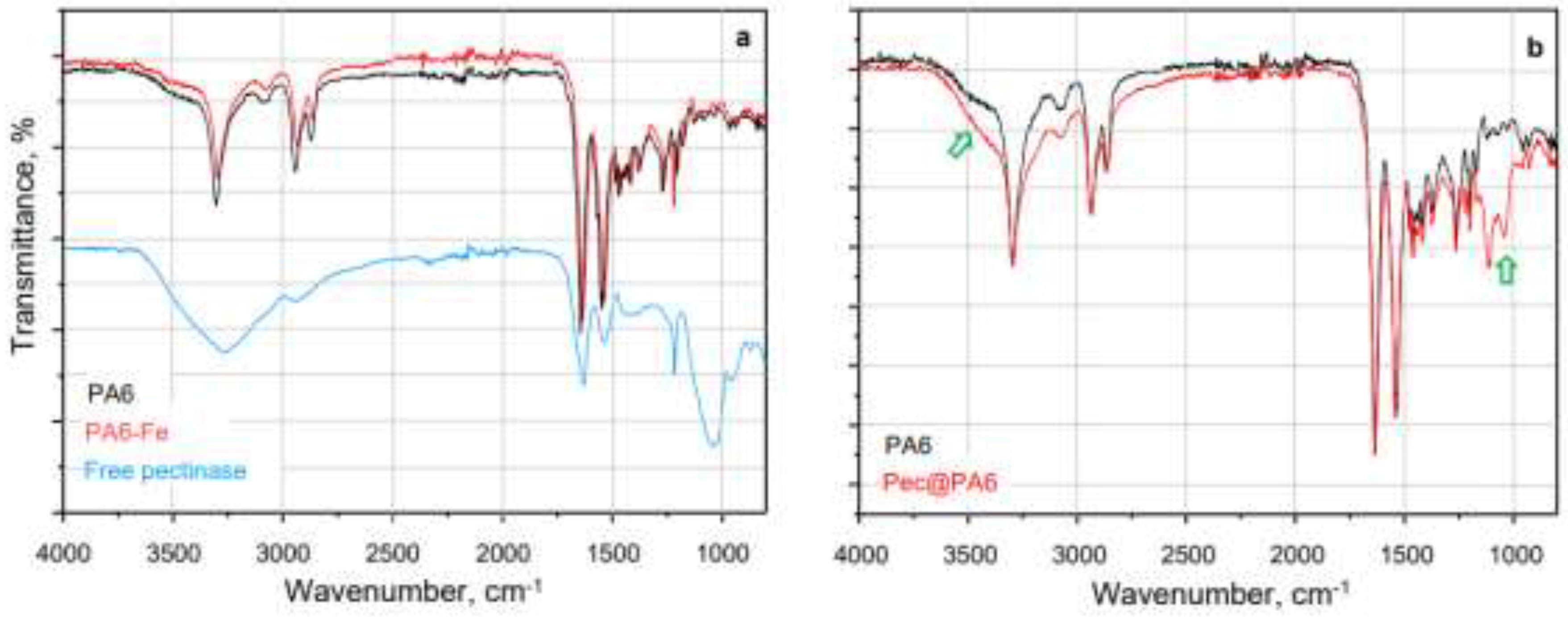 Preprints 140472 g003
