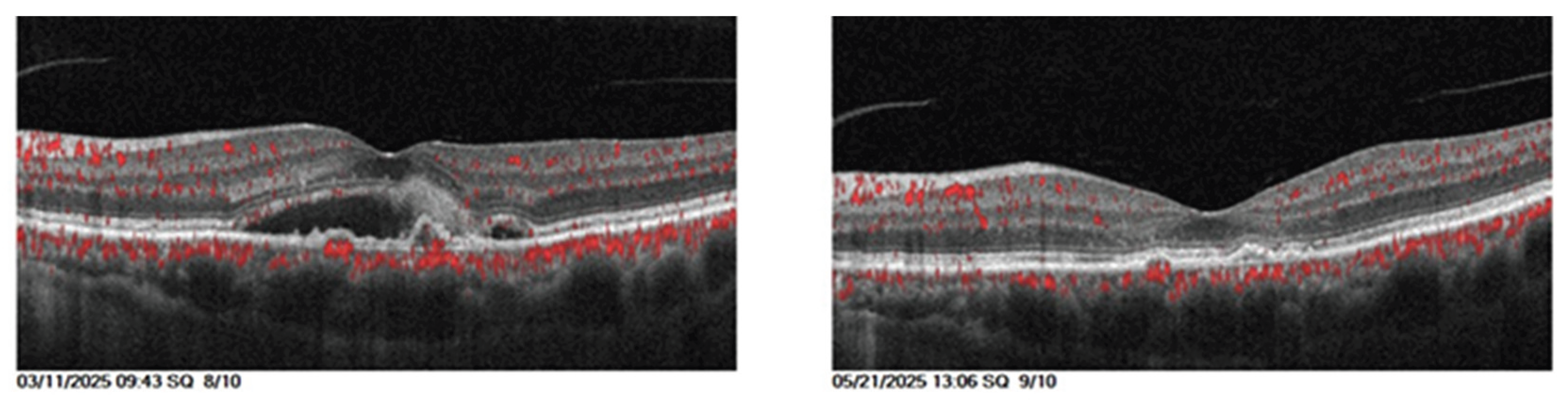 Preprints 182829 g004