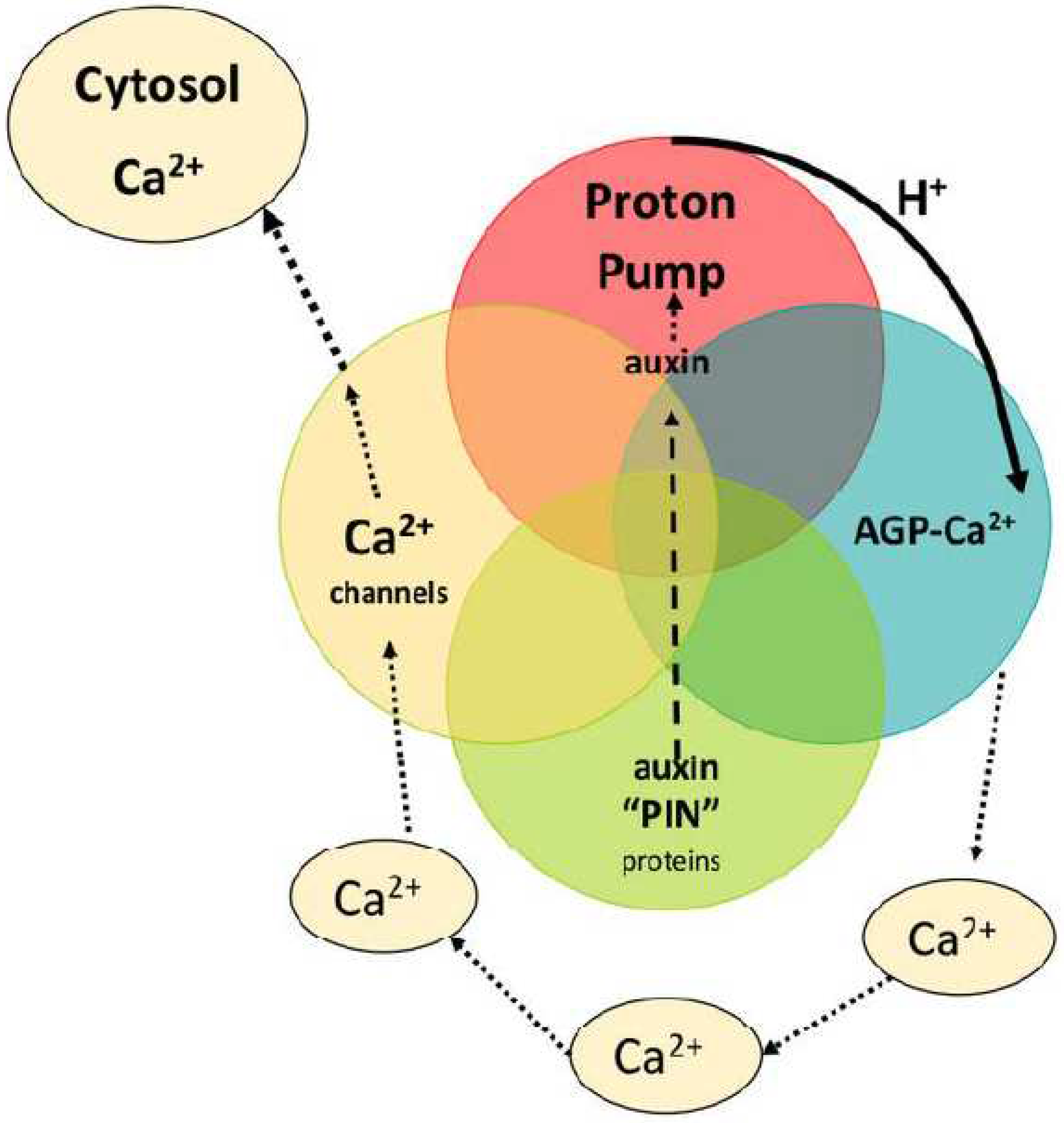 Preprints 74195 g001