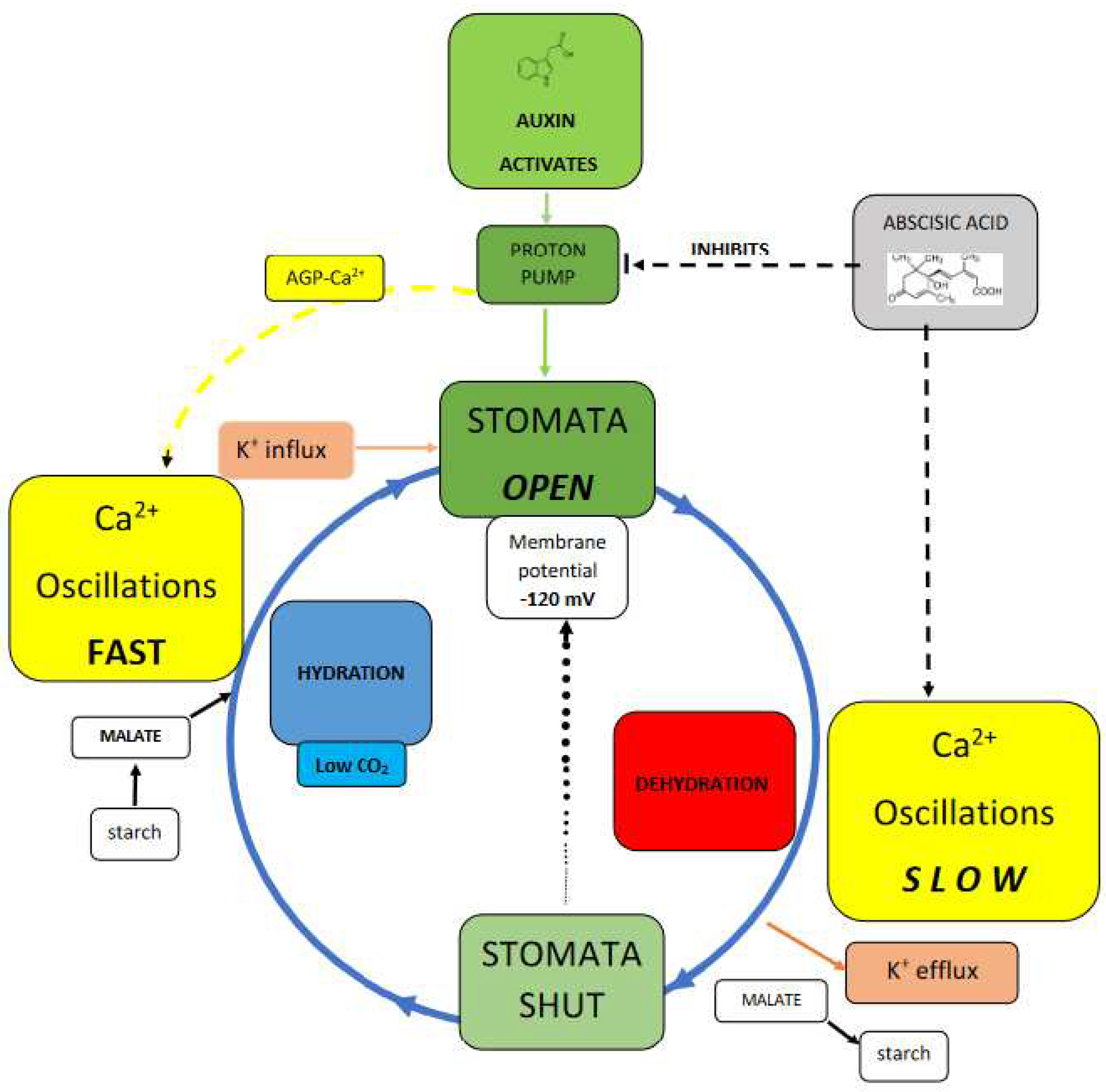 Preprints 74195 g002