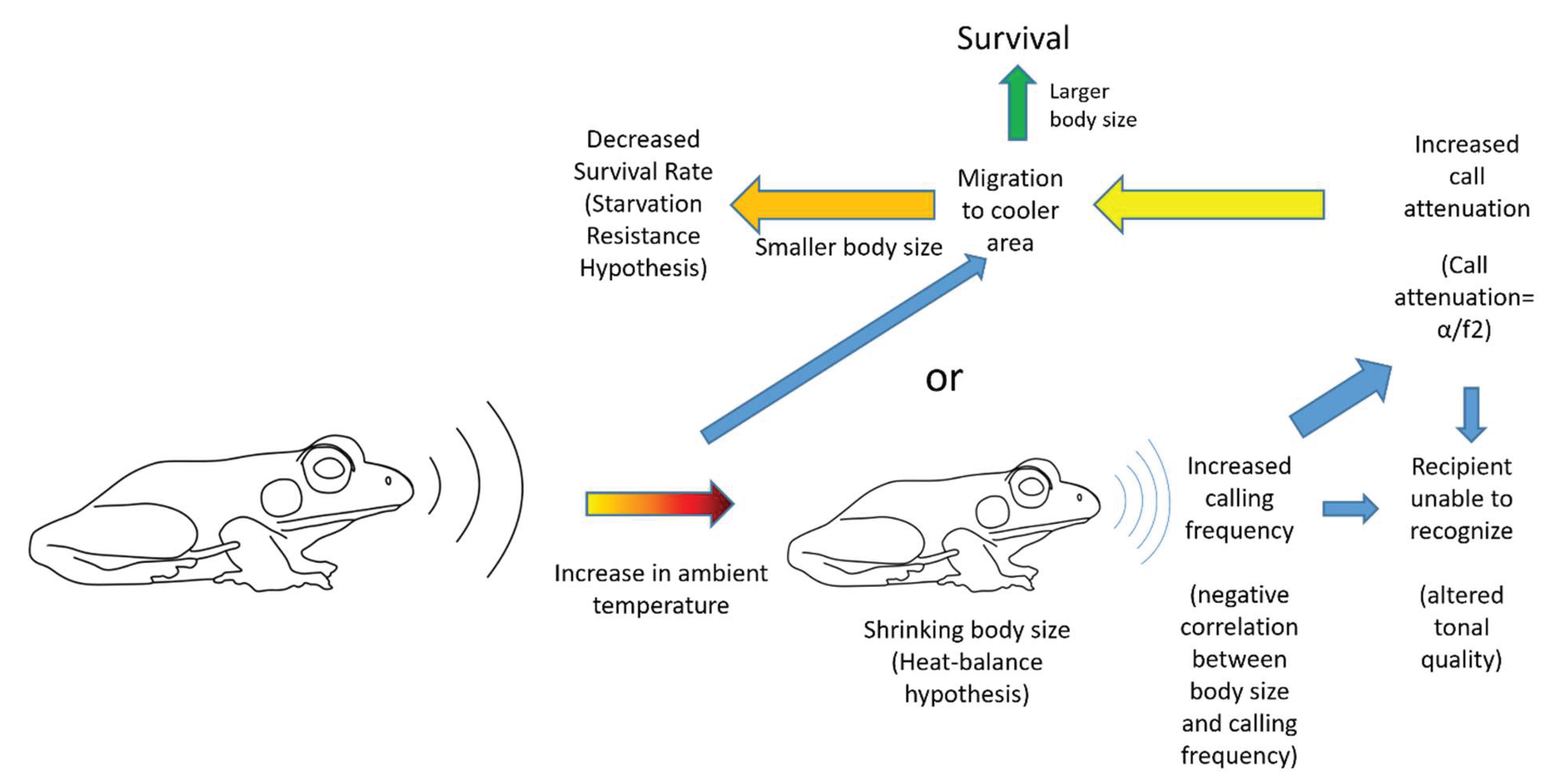 Preprints 163947 g001
