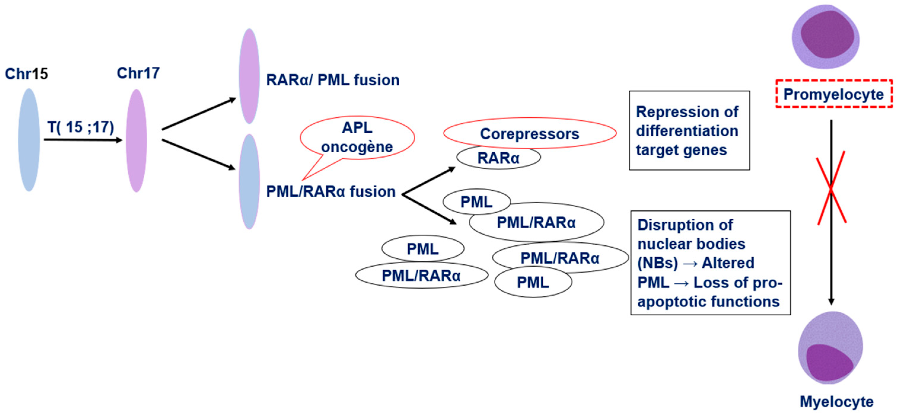 Preprints 177434 g001