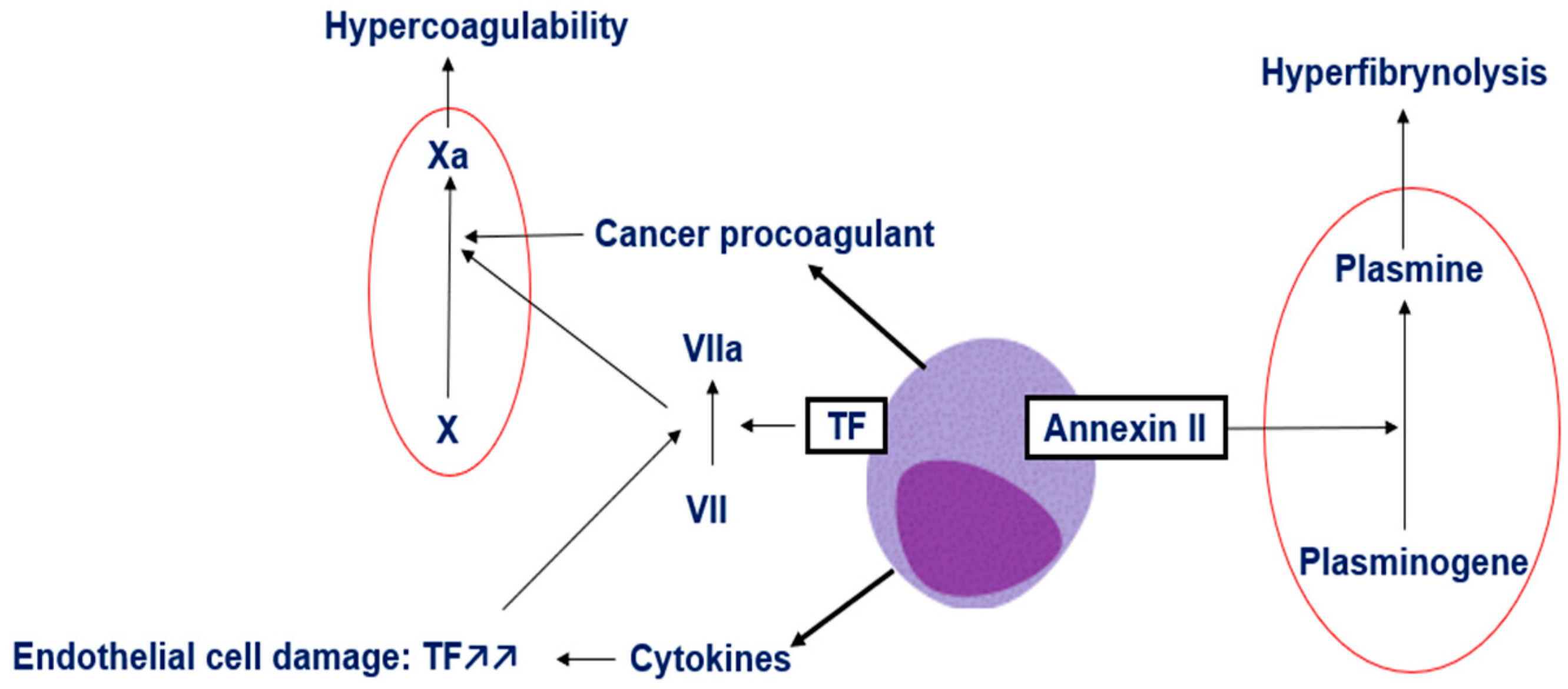 Preprints 177434 g002